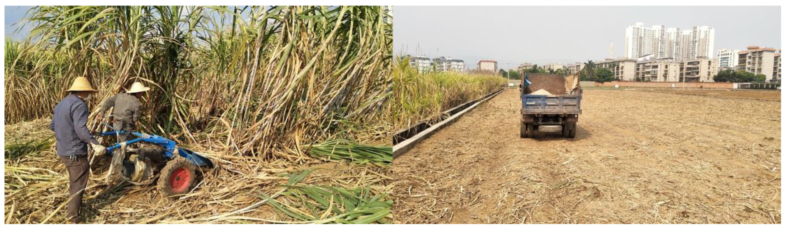 Agronomy 09 00830 g001 550