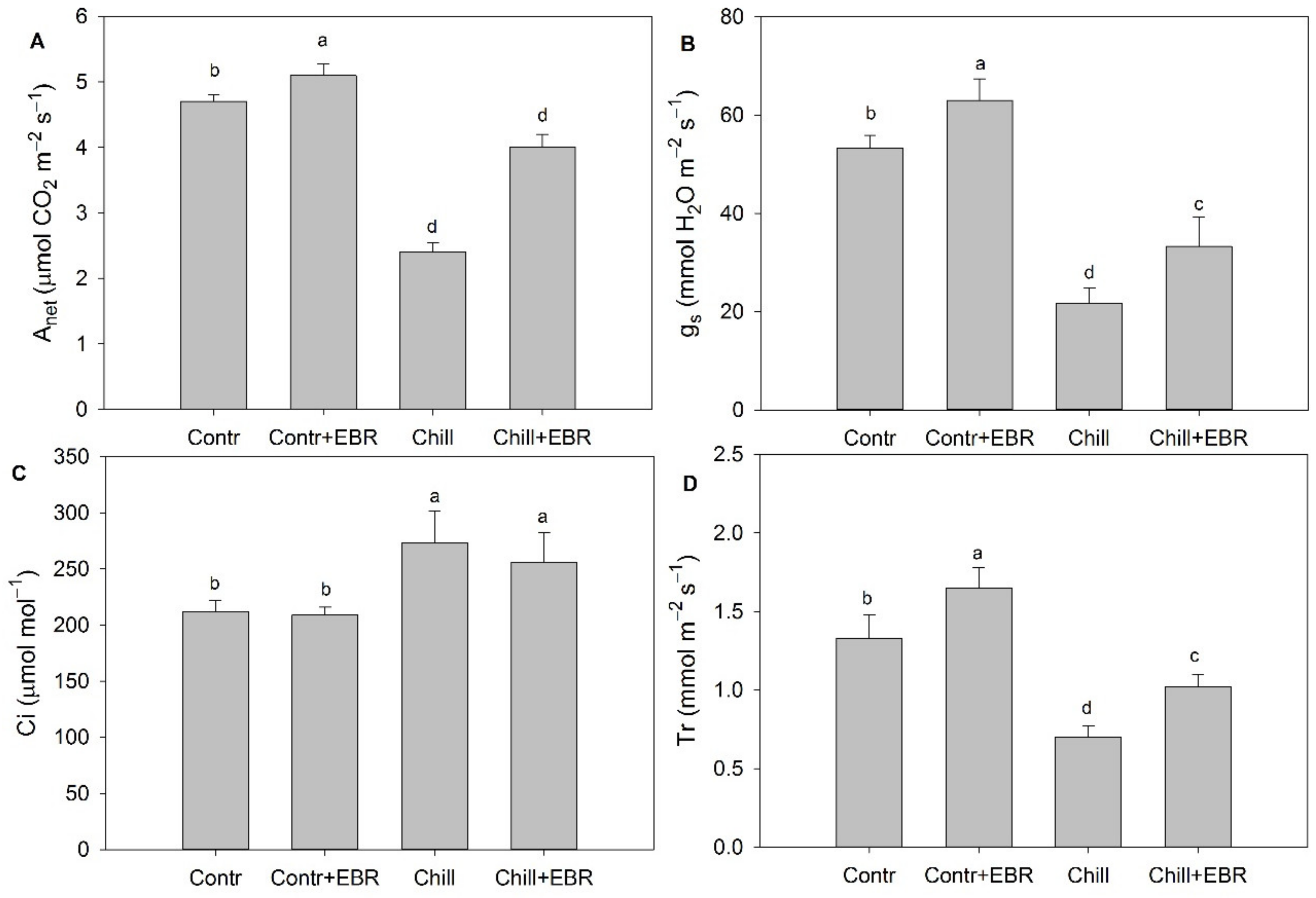 Agronomy 09 00839 g002