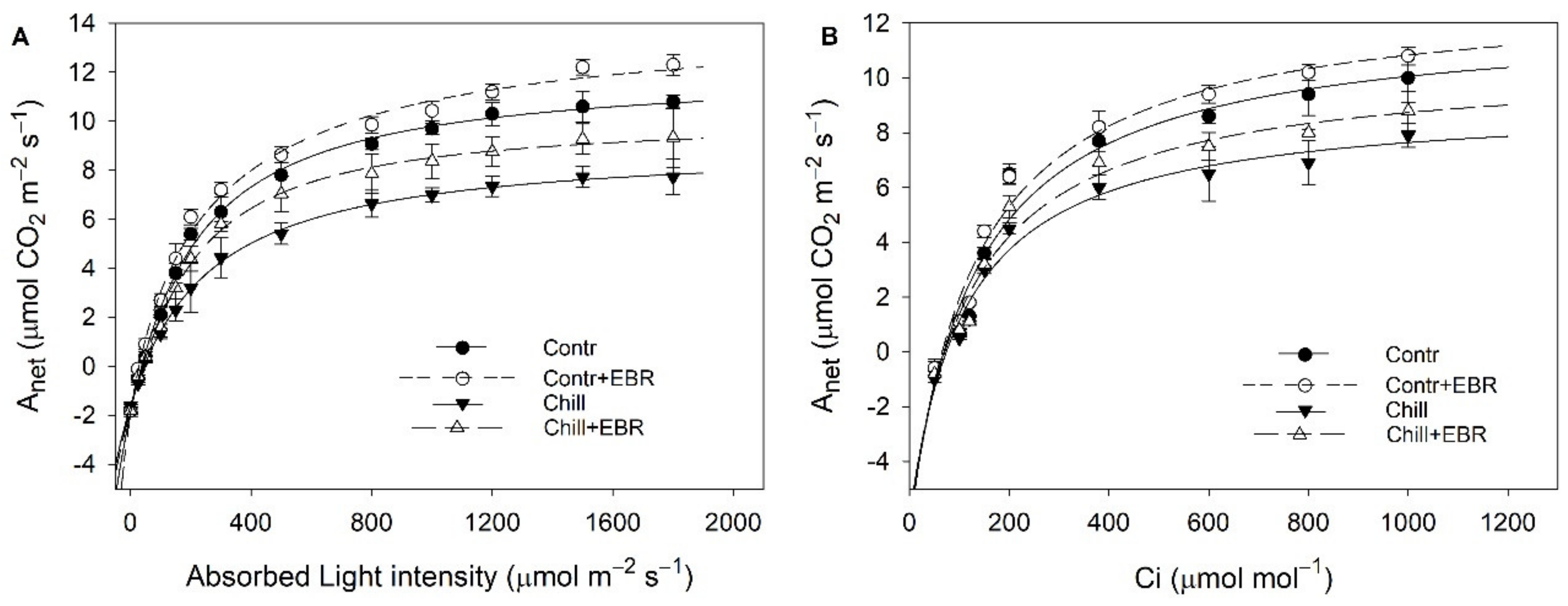 Agronomy 09 00839 g003