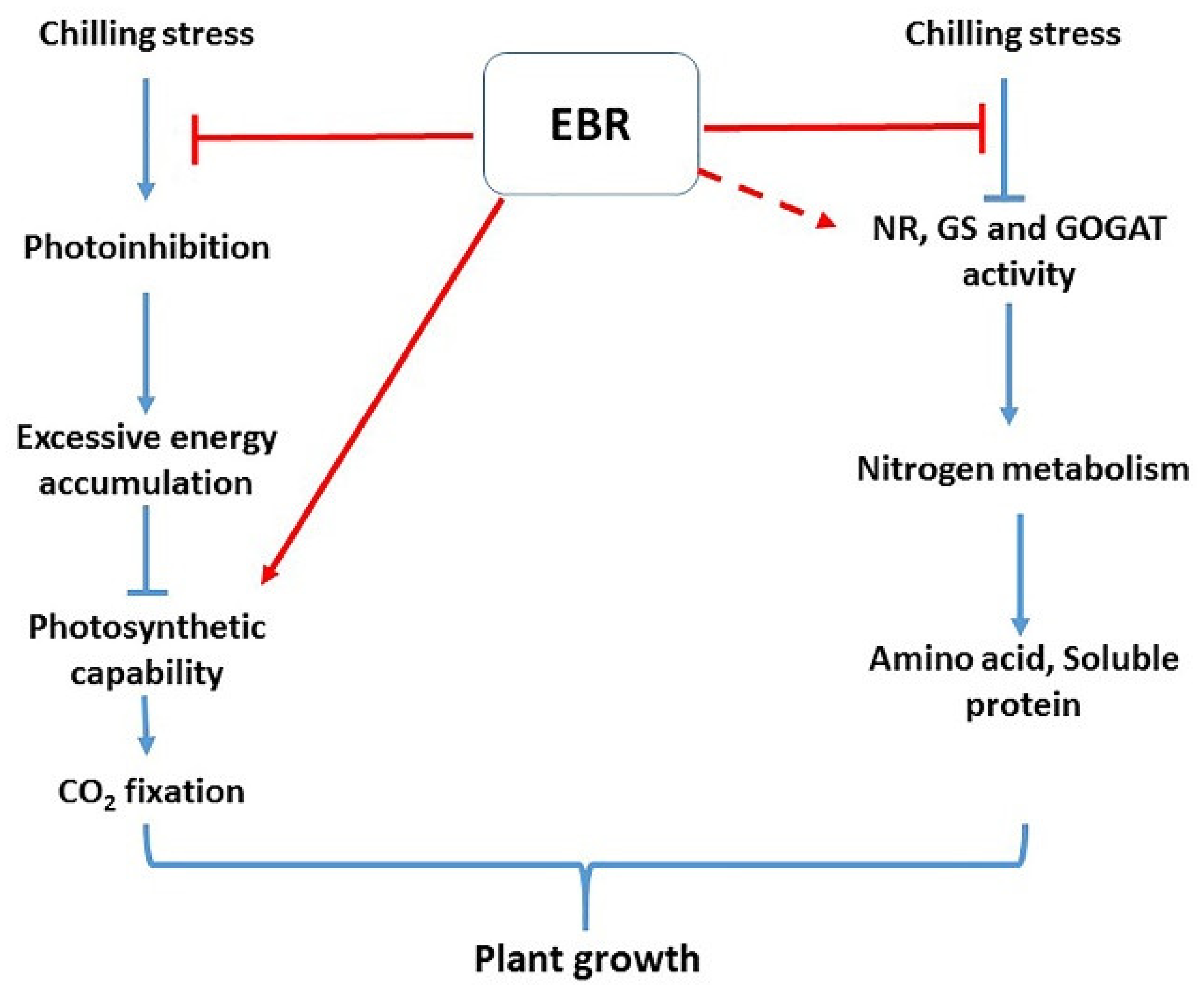 Agronomy 09 00839 g008