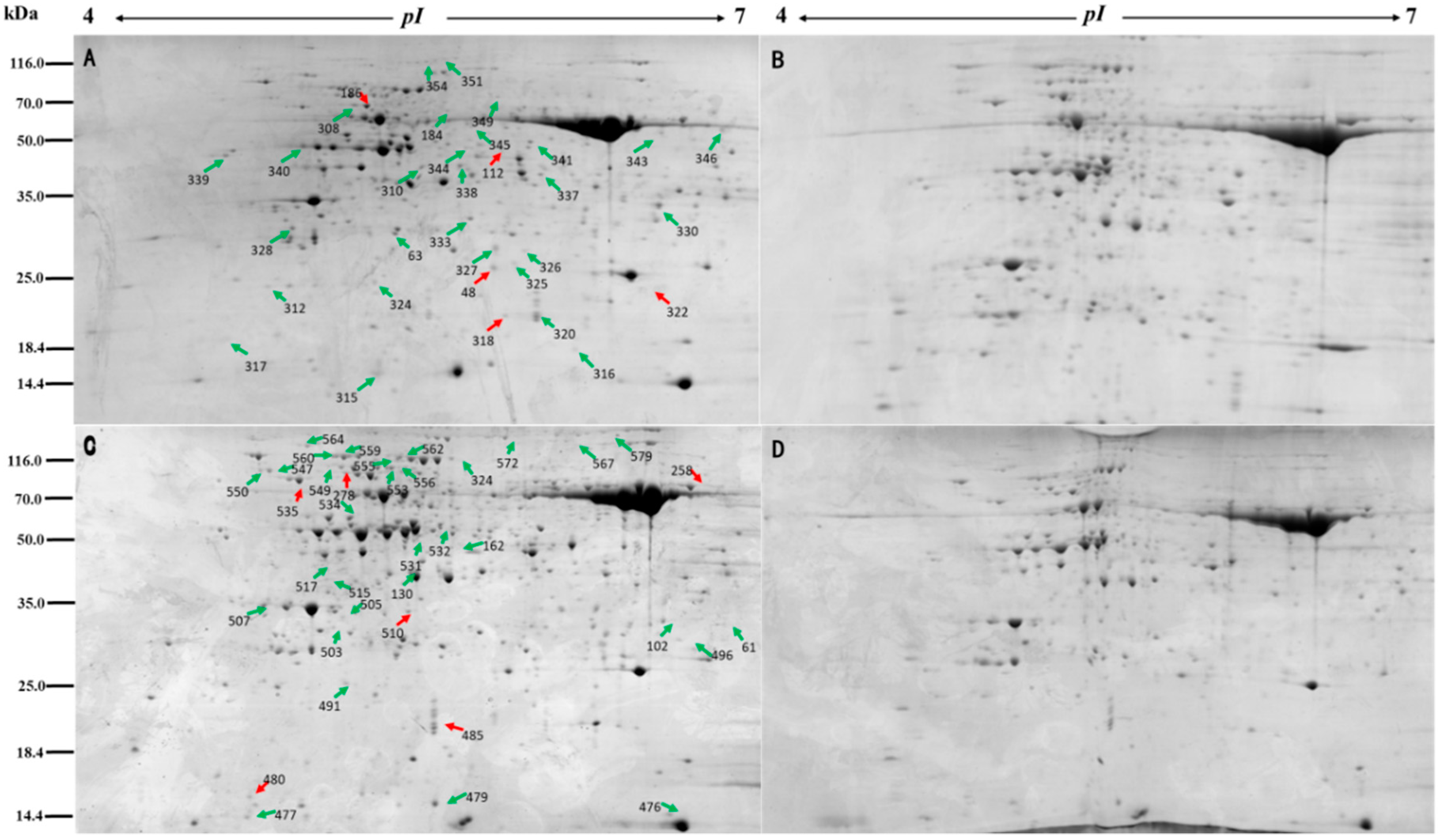 Agronomy 09 00843 g003 Agronomy 09 00843 g003