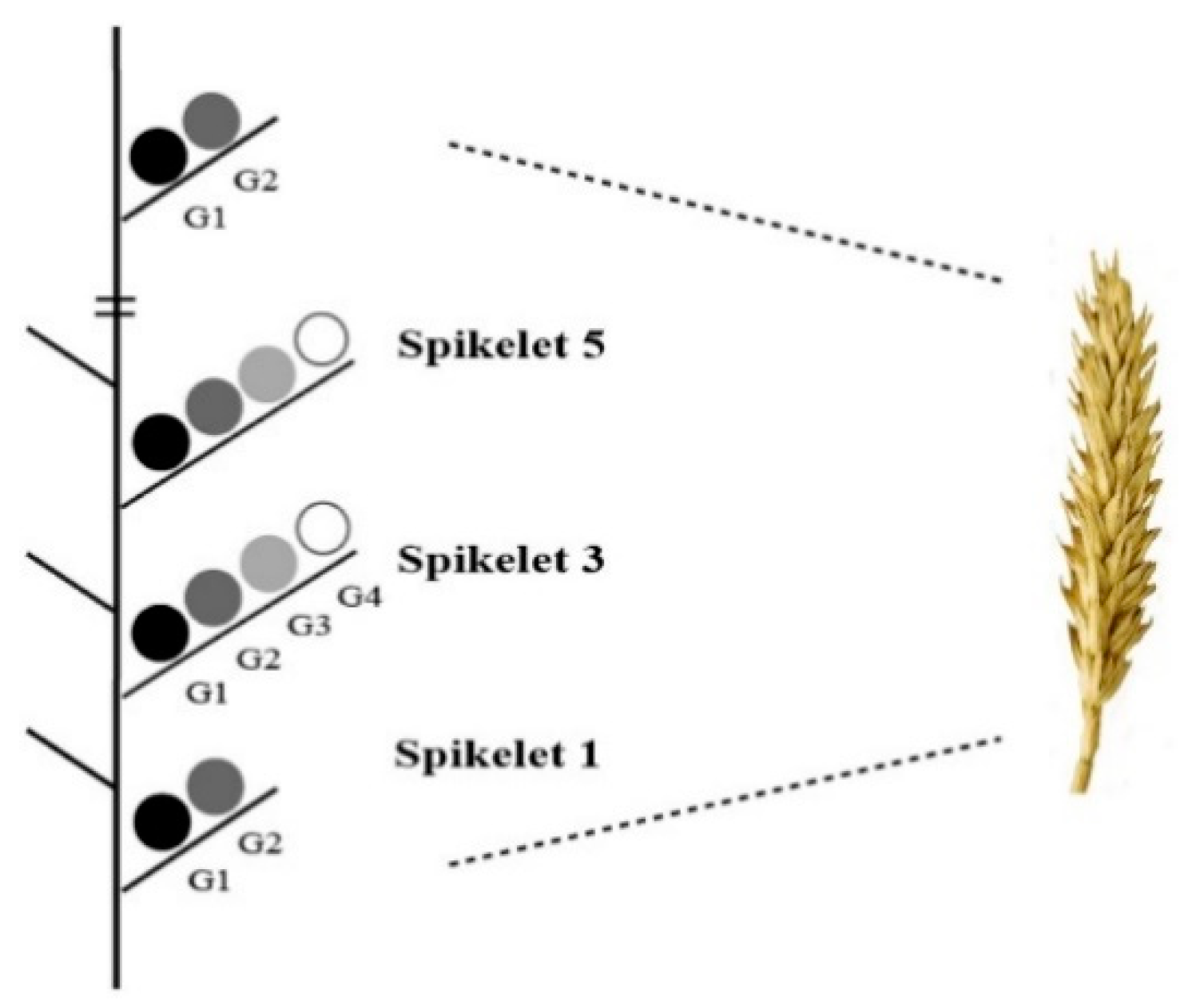 Agronomy 09 00850 g0a1