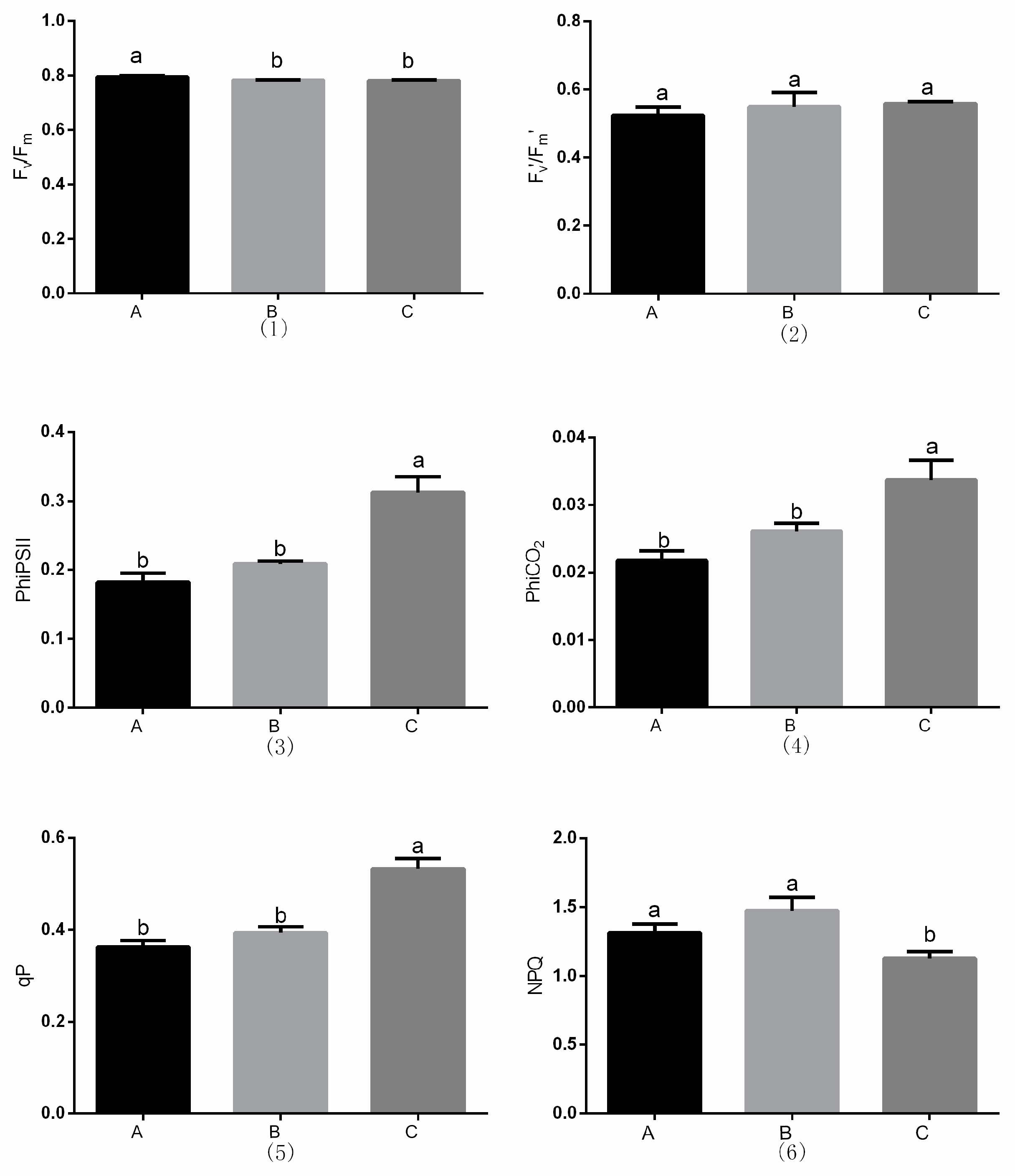 Agronomy 09 00857 g007
