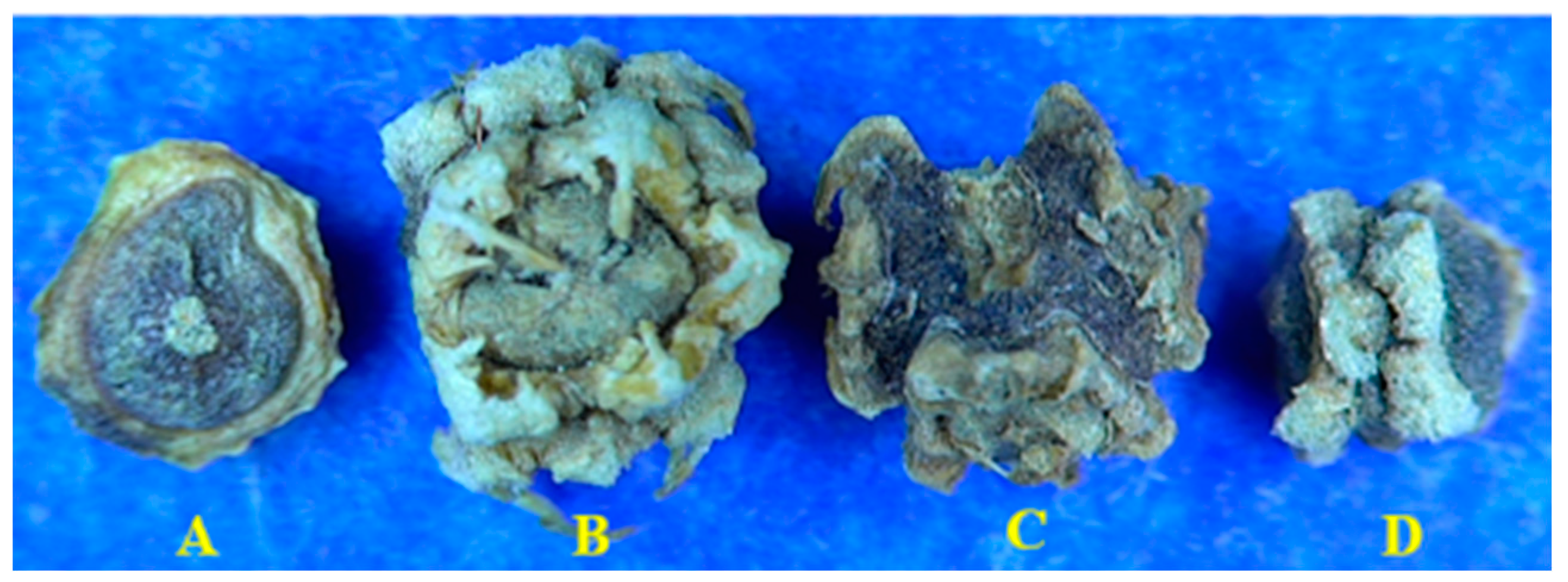 Agronomy 09 00863 g002