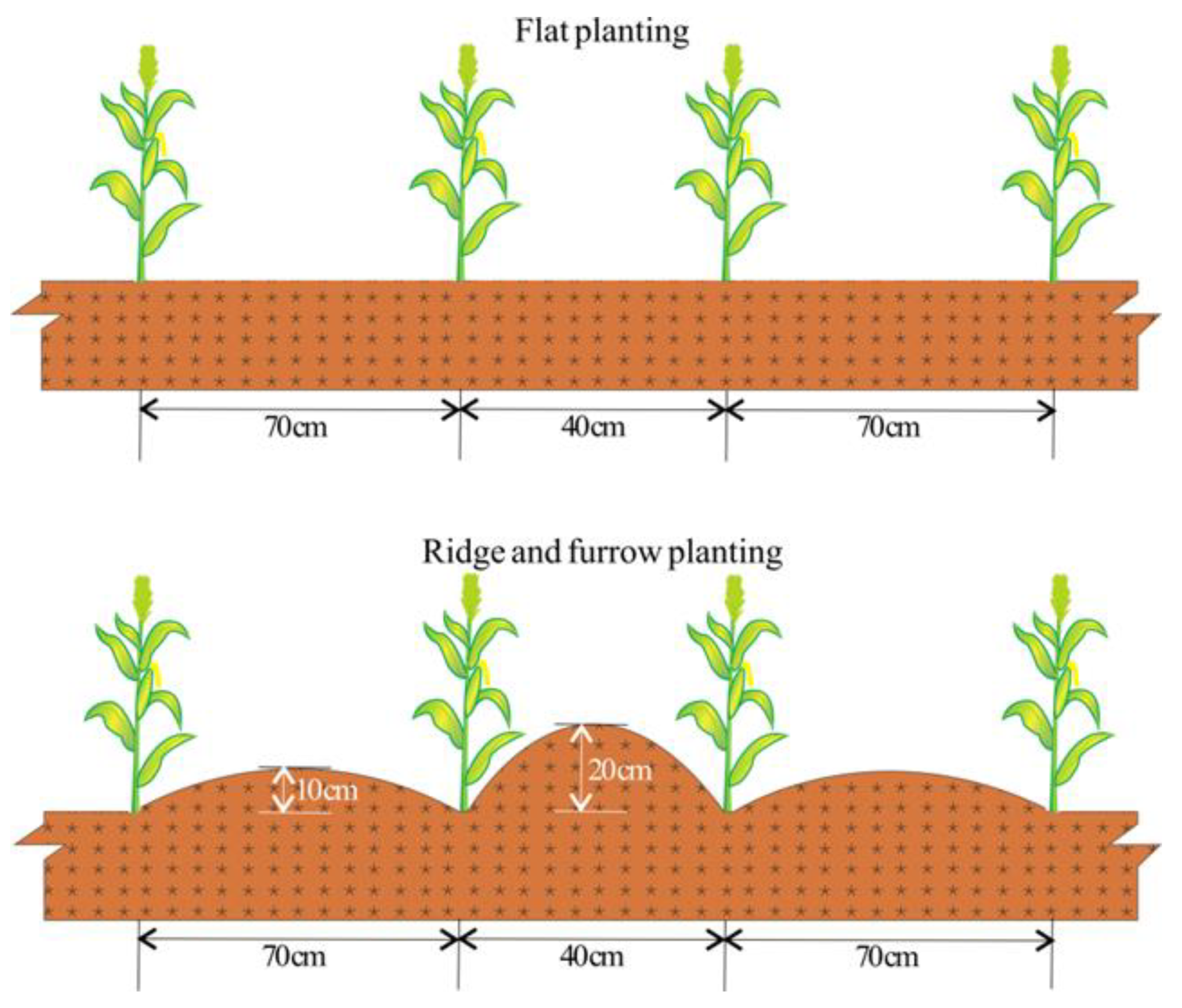 Agronomy Free FullText Incorporation of Manure into Ridge and
