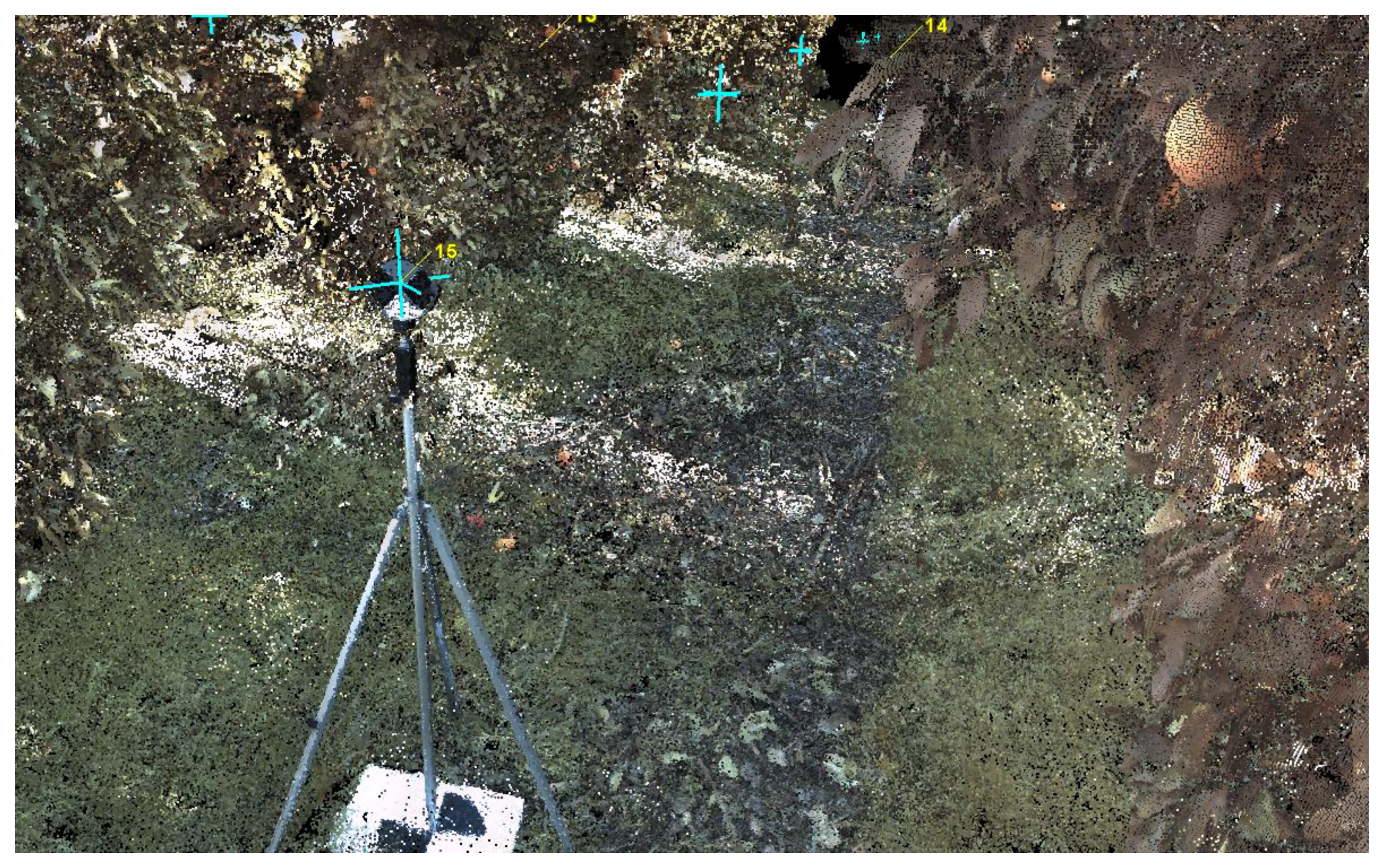 Agronomy 09 00885 g004 Agronomy 09 00885 g004