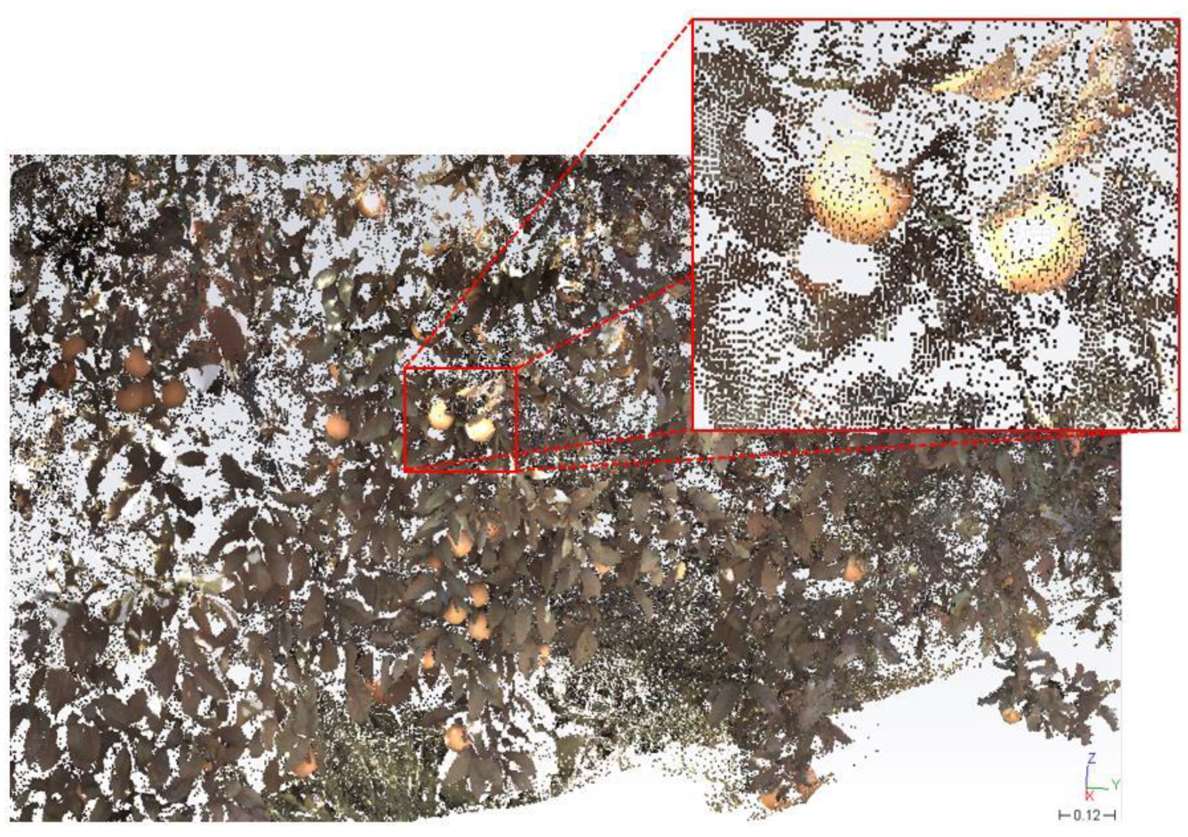 Agronomy 09 00885 g007 Agronomy 09 00885 g007