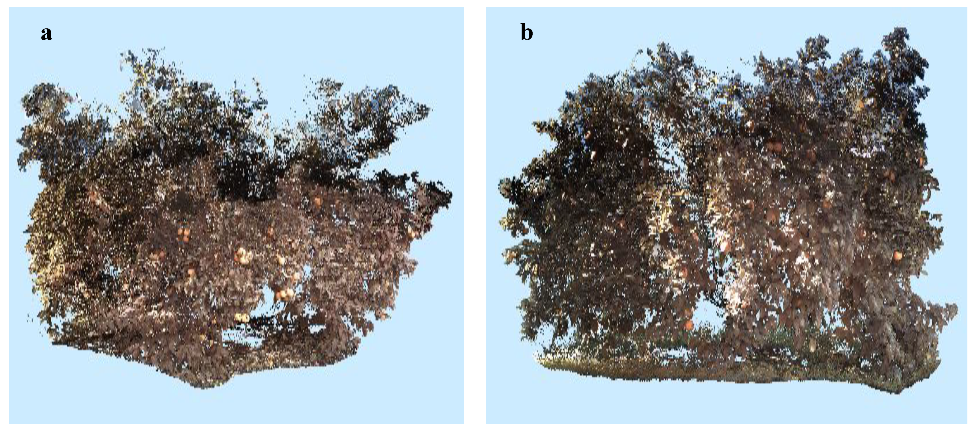 Agronomy 09 00885 g008a Agronomy 09 00885 g008a