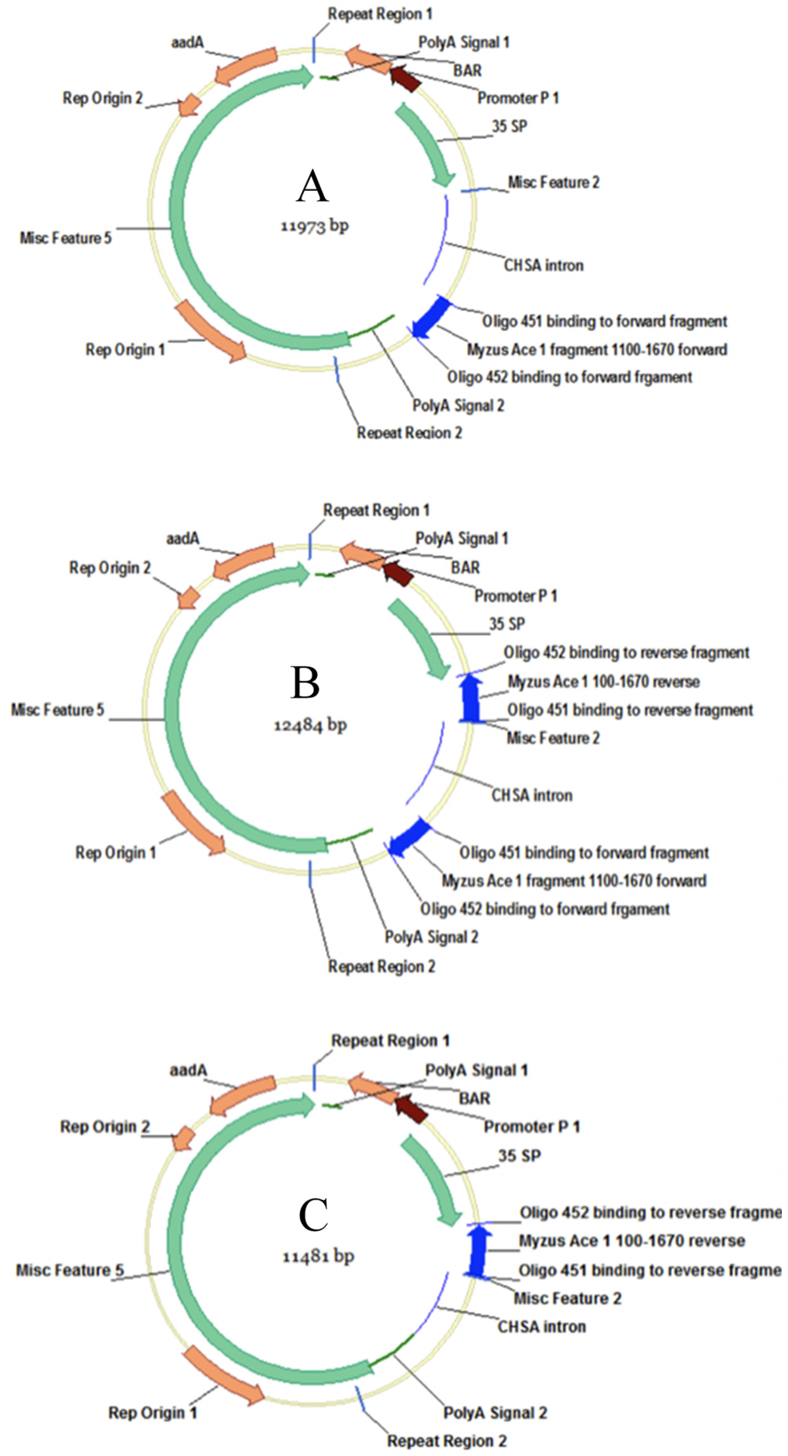 Agronomy 09 00893 g001 Agronomy 09 00893 g001