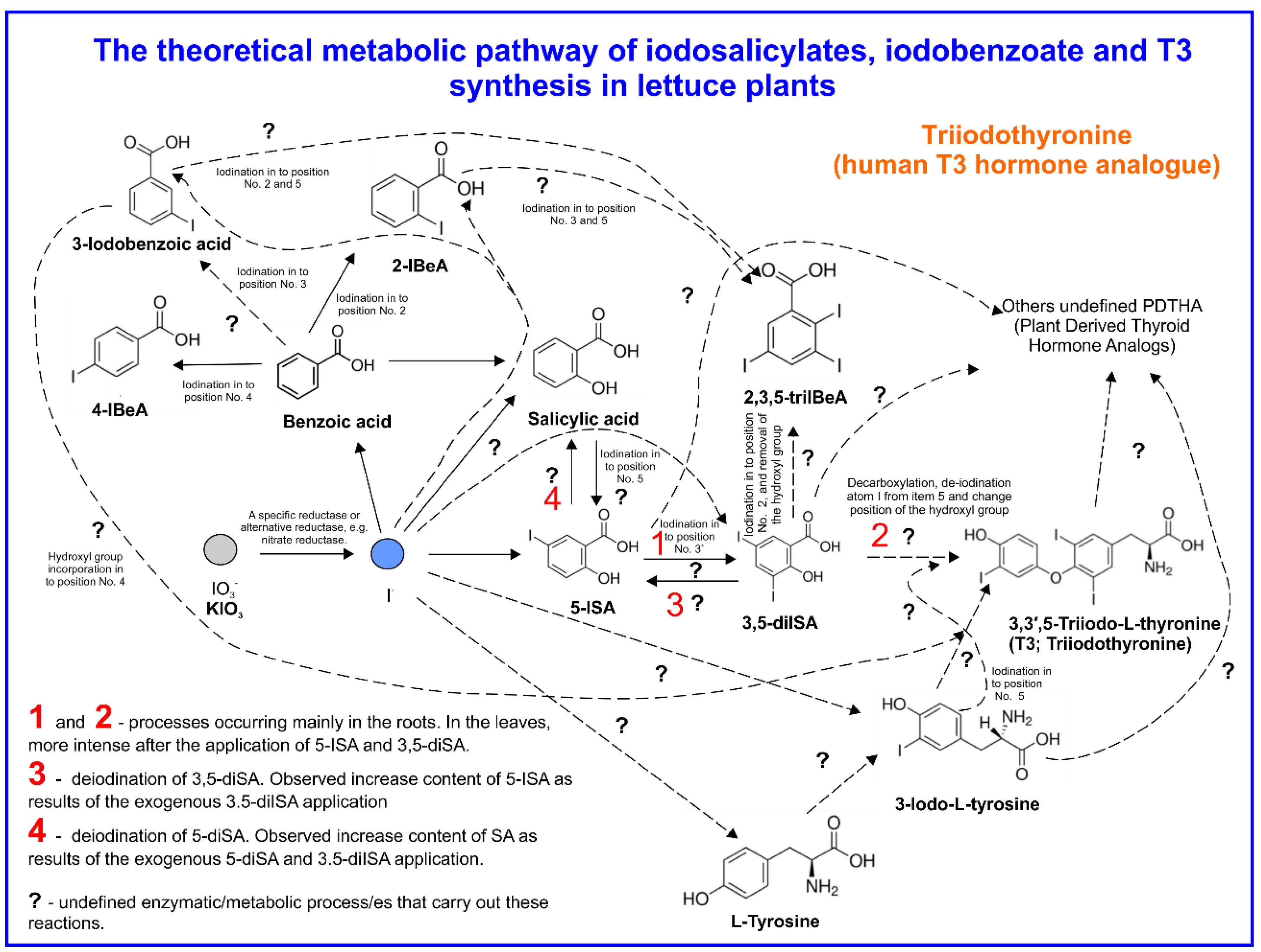 Agronomy 10 00001 g003