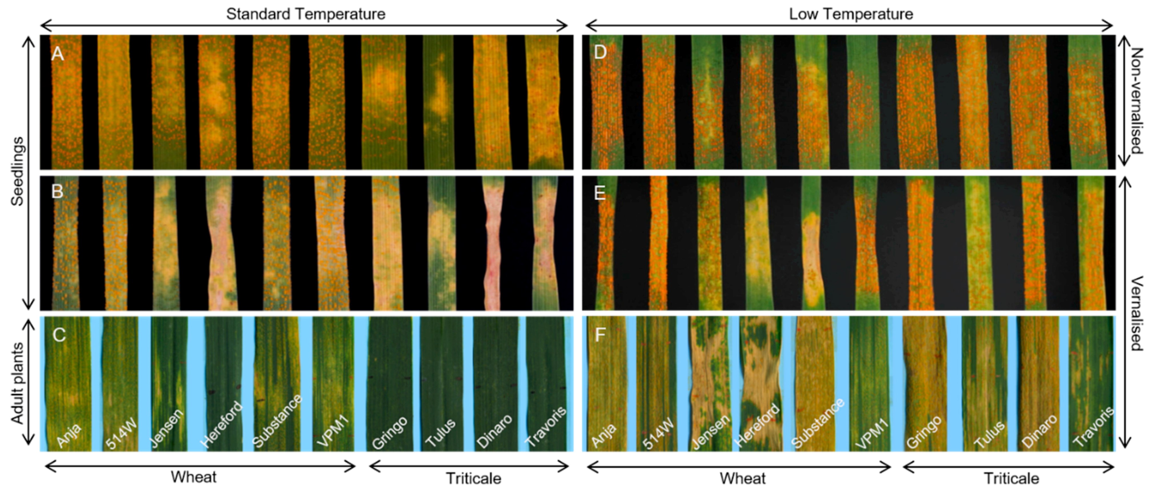 Agronomy 10 00013 g002 Agronomy 10 00013 g002