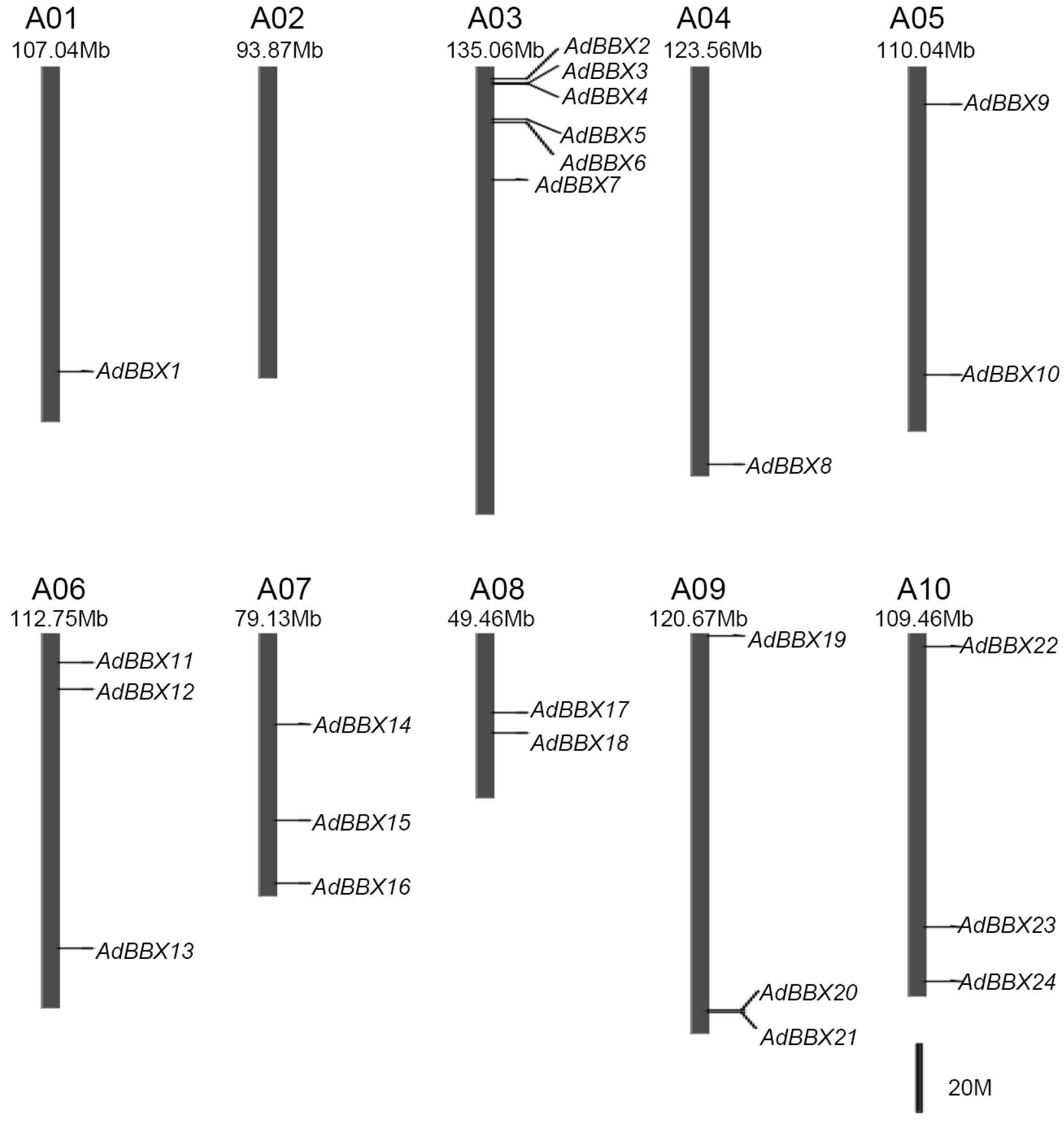 Agronomy 10 00023 g001 Agronomy 10 00023 g001