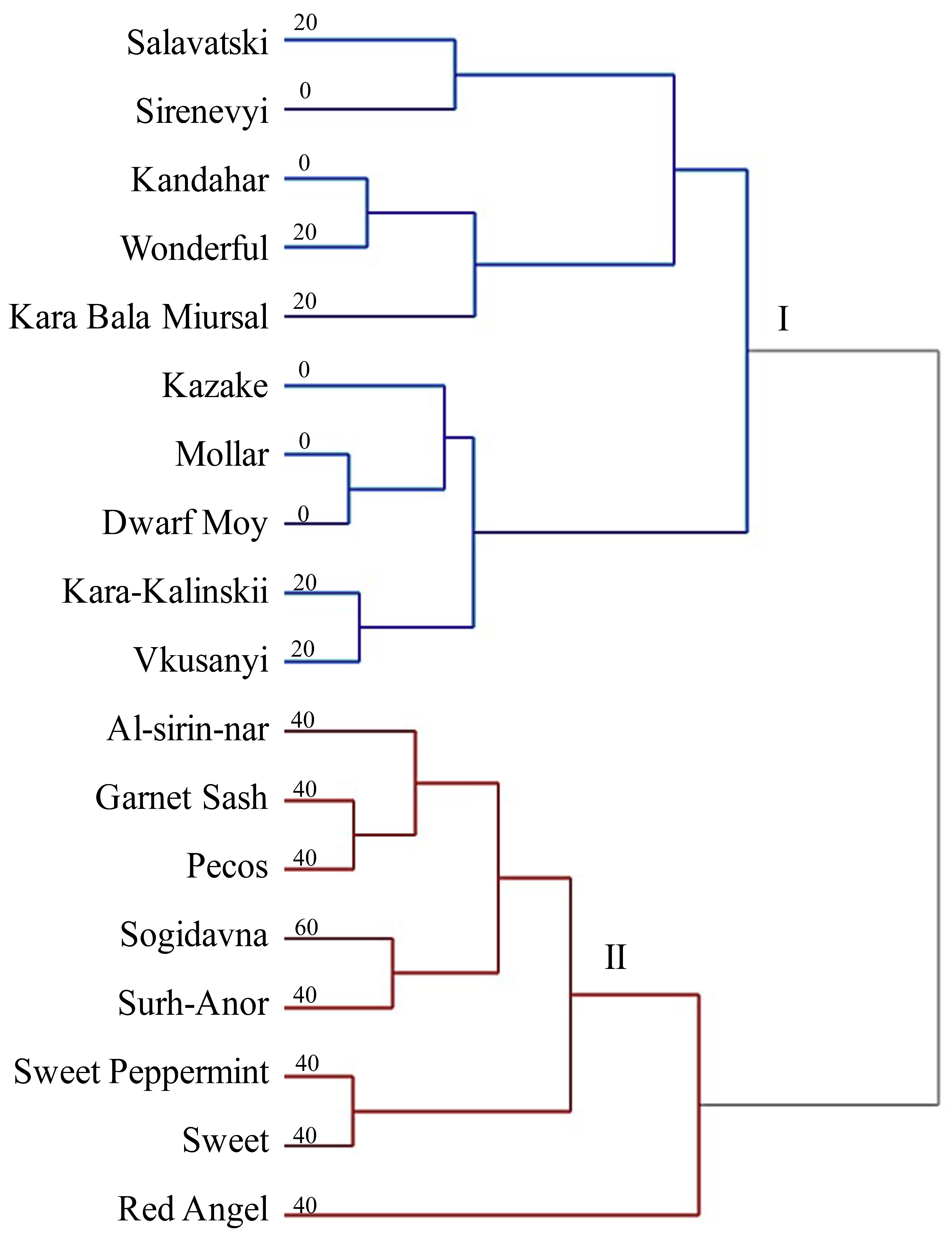 Agronomy 10 00027 g002