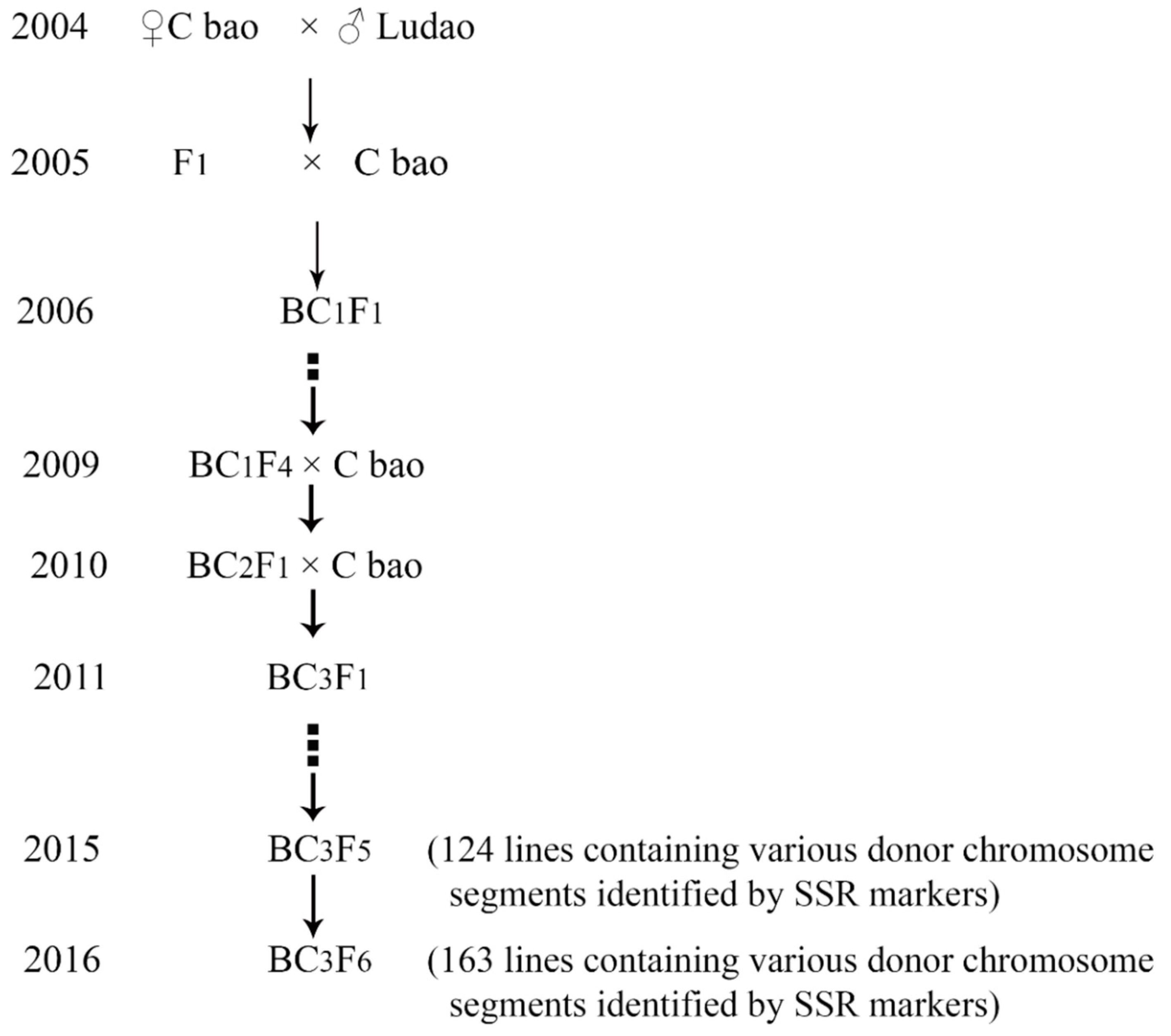 Agronomy 10 00028 g002 Agronomy 10 00028 g002