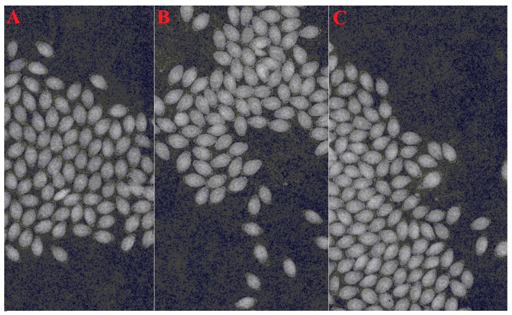 Agronomy 10 00030 g001 Agronomy 10 00030 g001