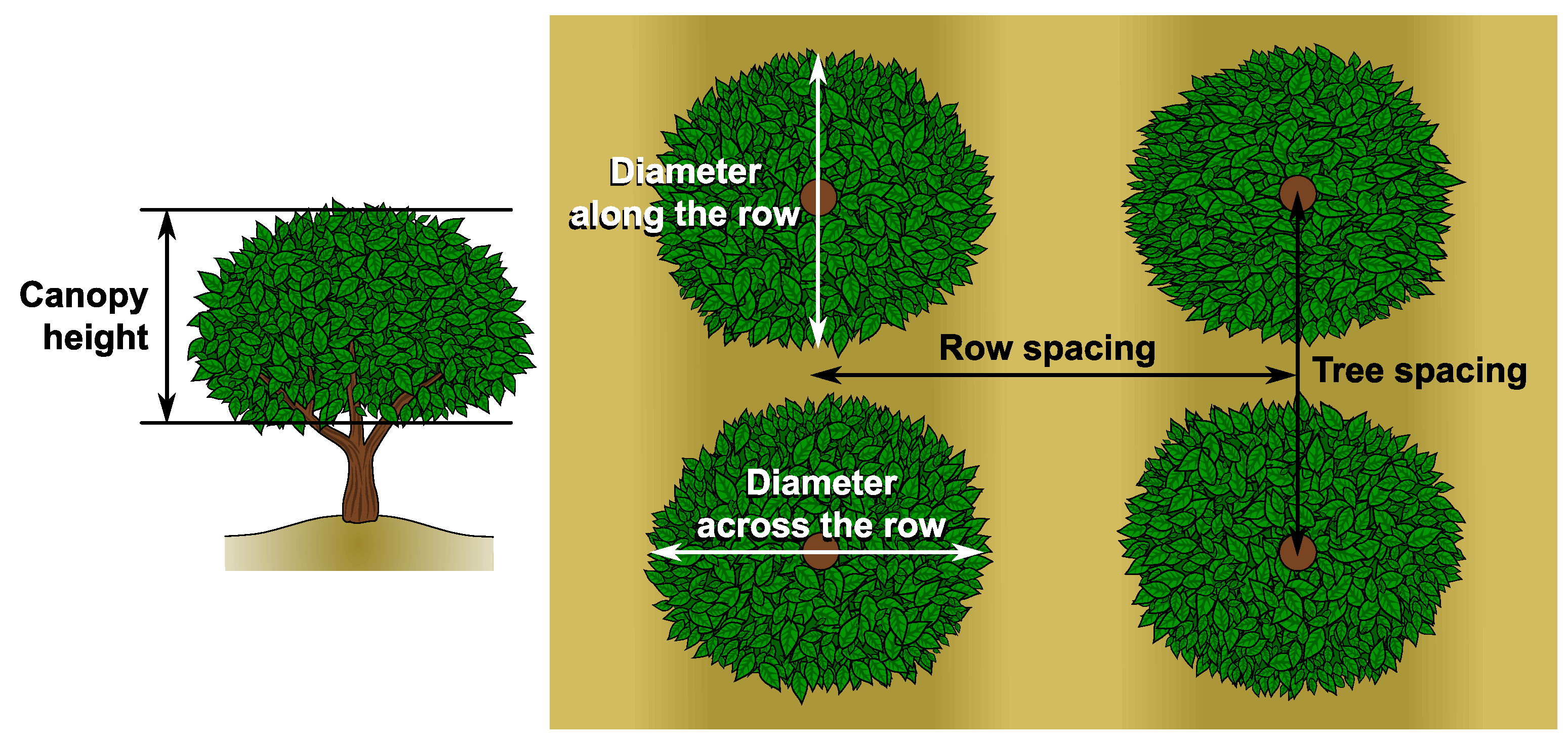 Agronomy 10 00032 g001