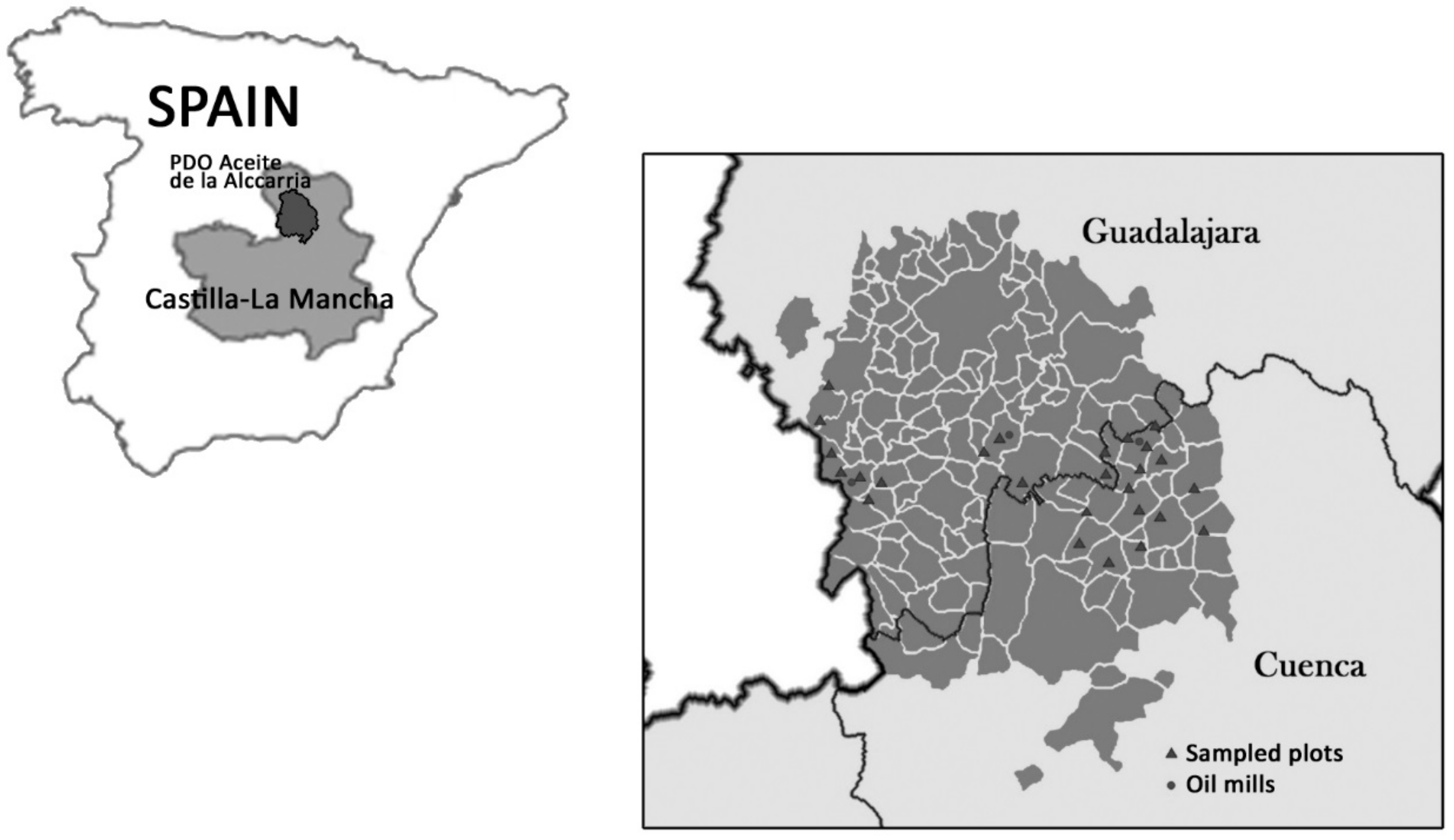 Agronomy 10 00038 g001