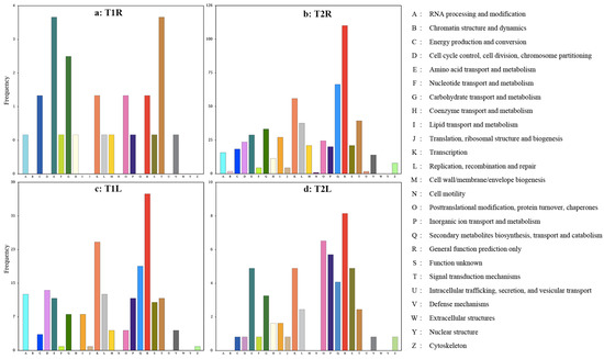 Agronomy Free Full Text Transcriptomic Profiling Of Pomegranate Provides Insights Into Salt Tolerance Html