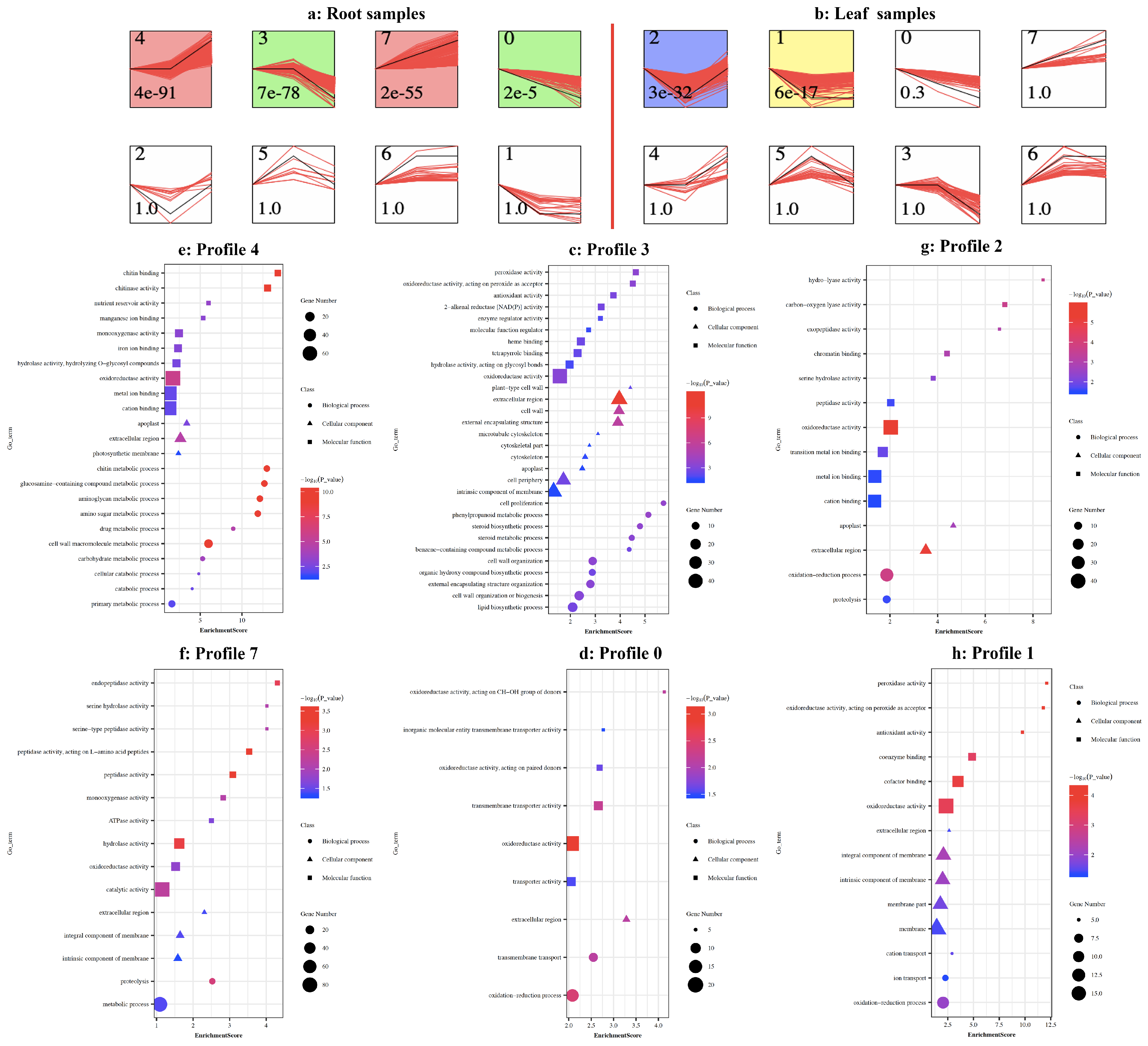 Agronomy 10 00044 g004