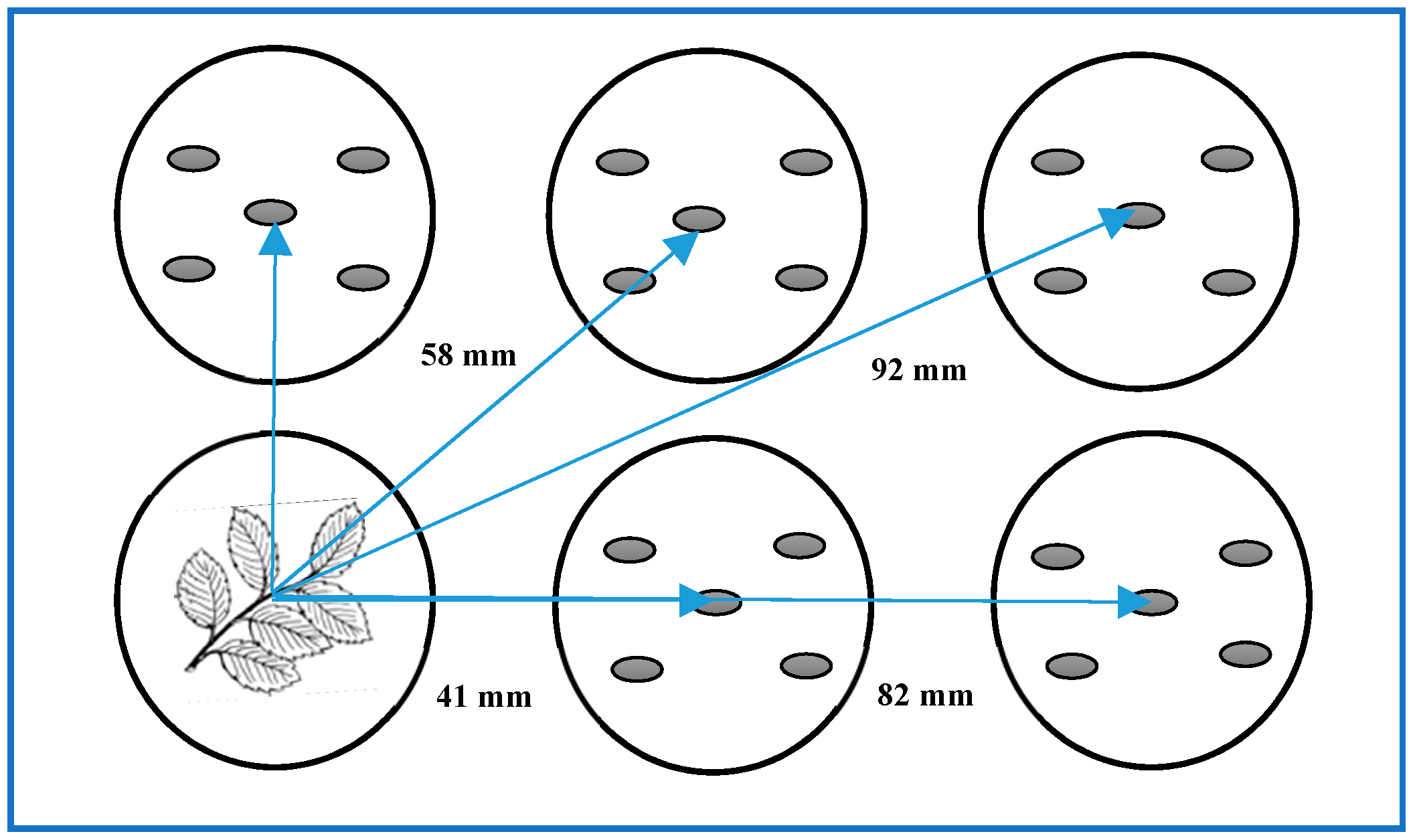 Agronomy 10 00049 g002 Agronomy 10 00049 g002