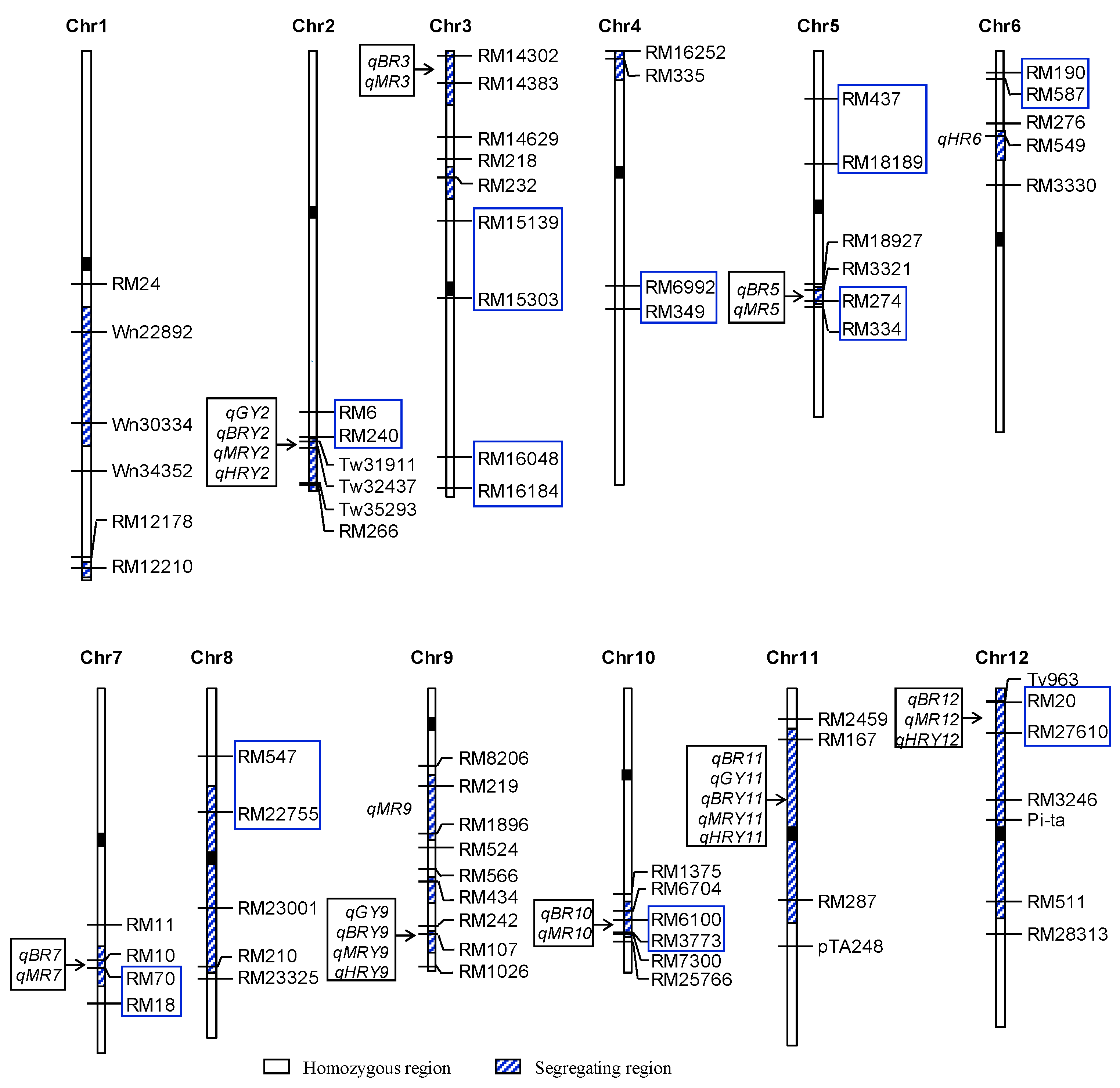 Agronomy 10 00075 g002