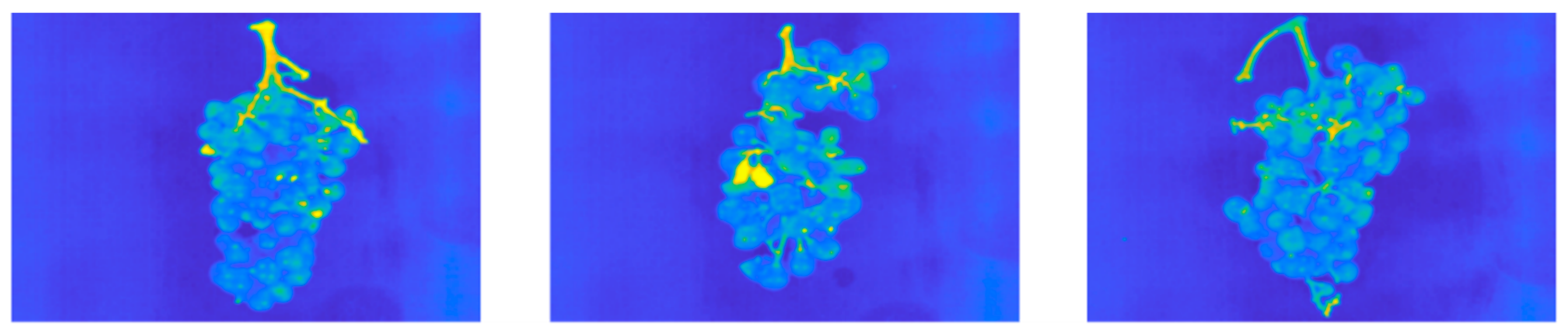 Agronomy 10 00088 g002