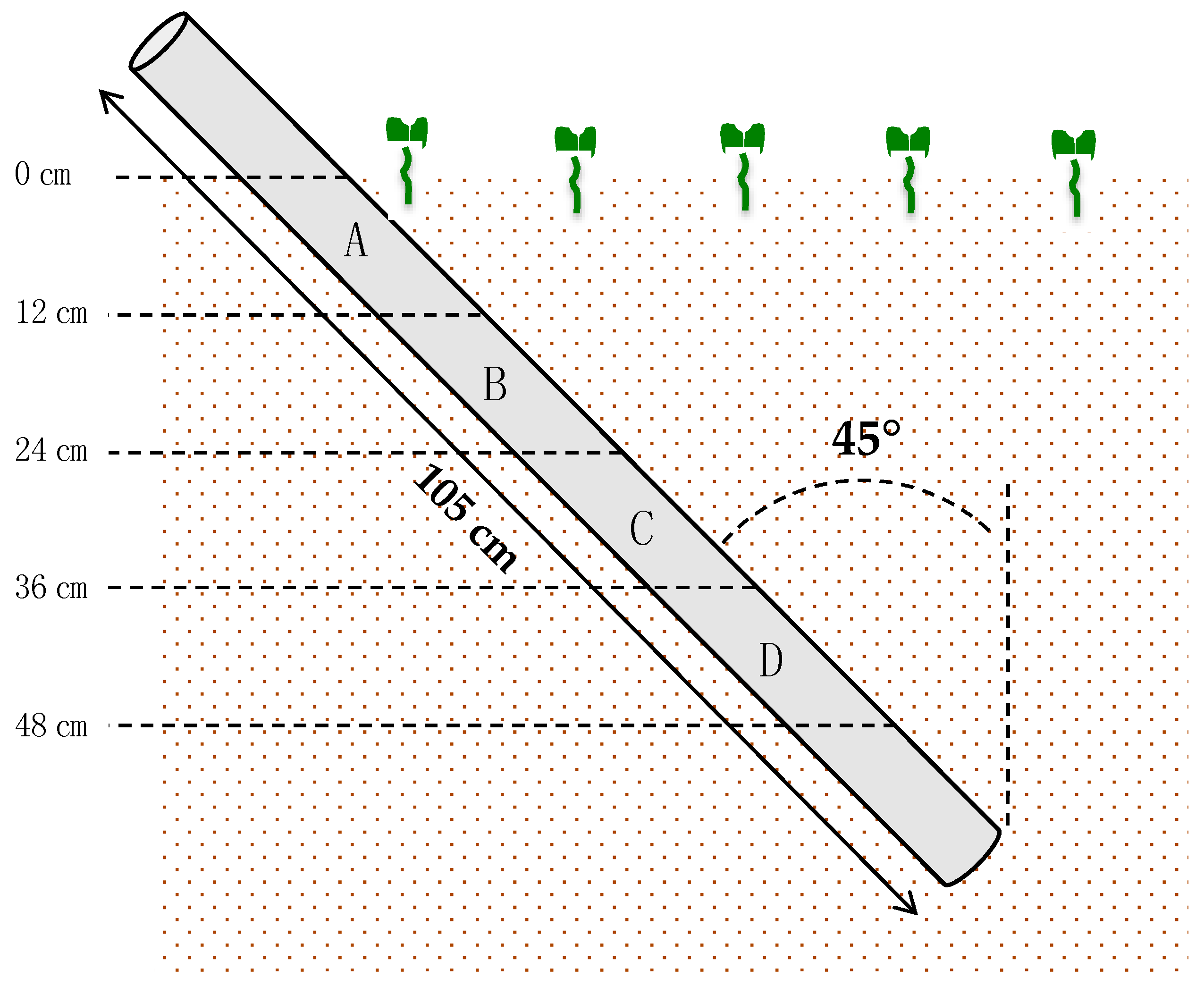 Agronomy 10 00105 g001