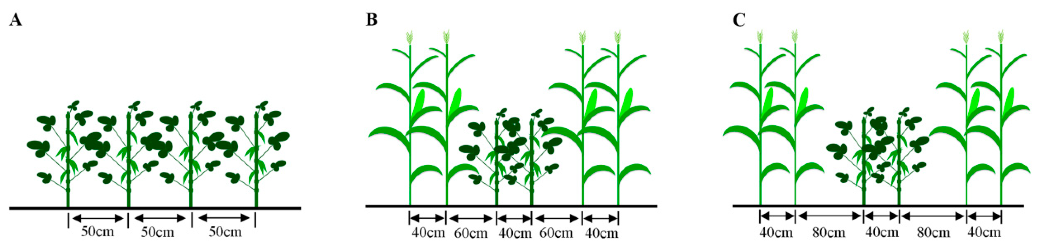 Agronomy 10 00110 g002
