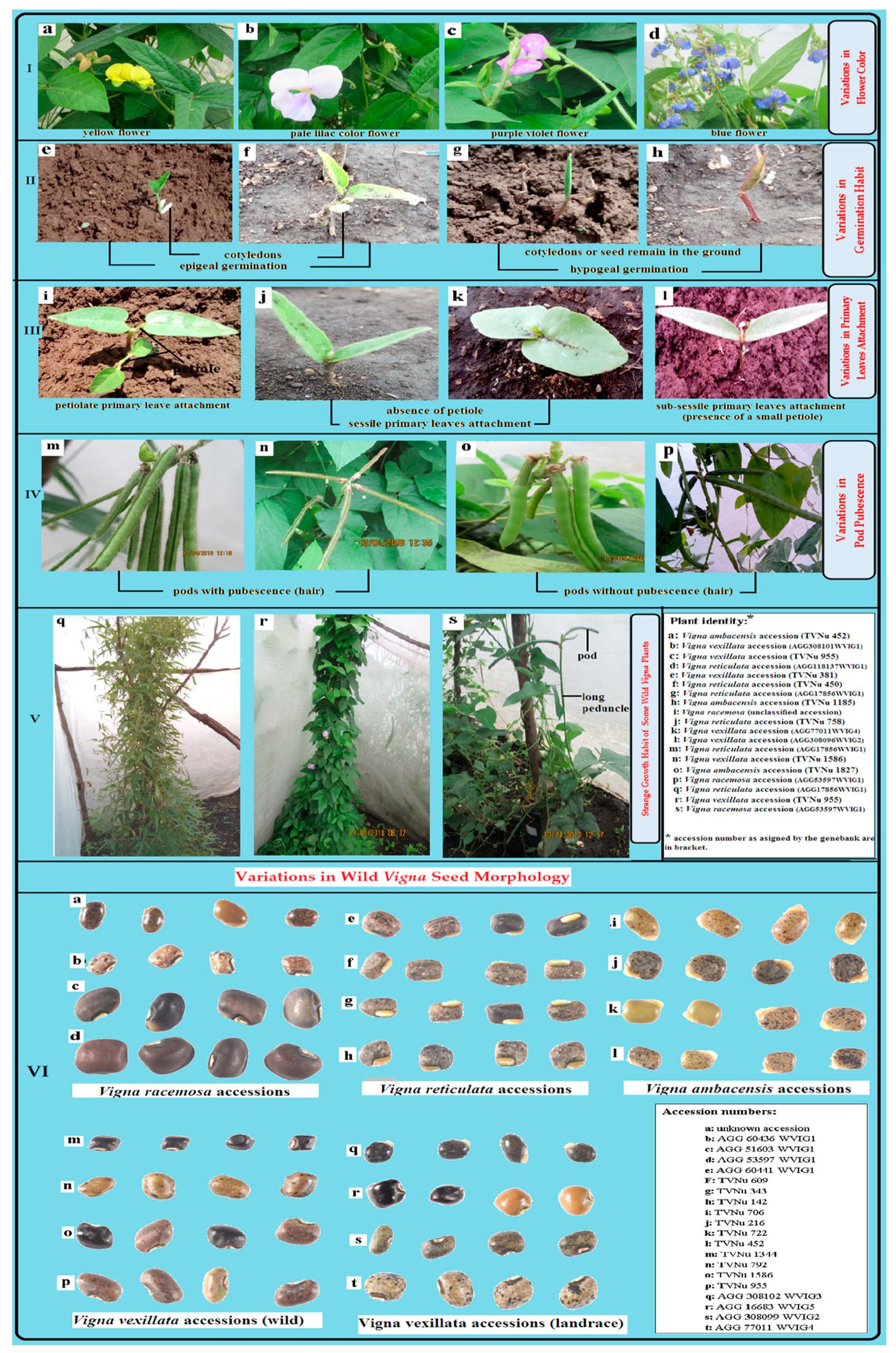 Agronomy 10 00111 g002 Agronomy 10 00111 g002