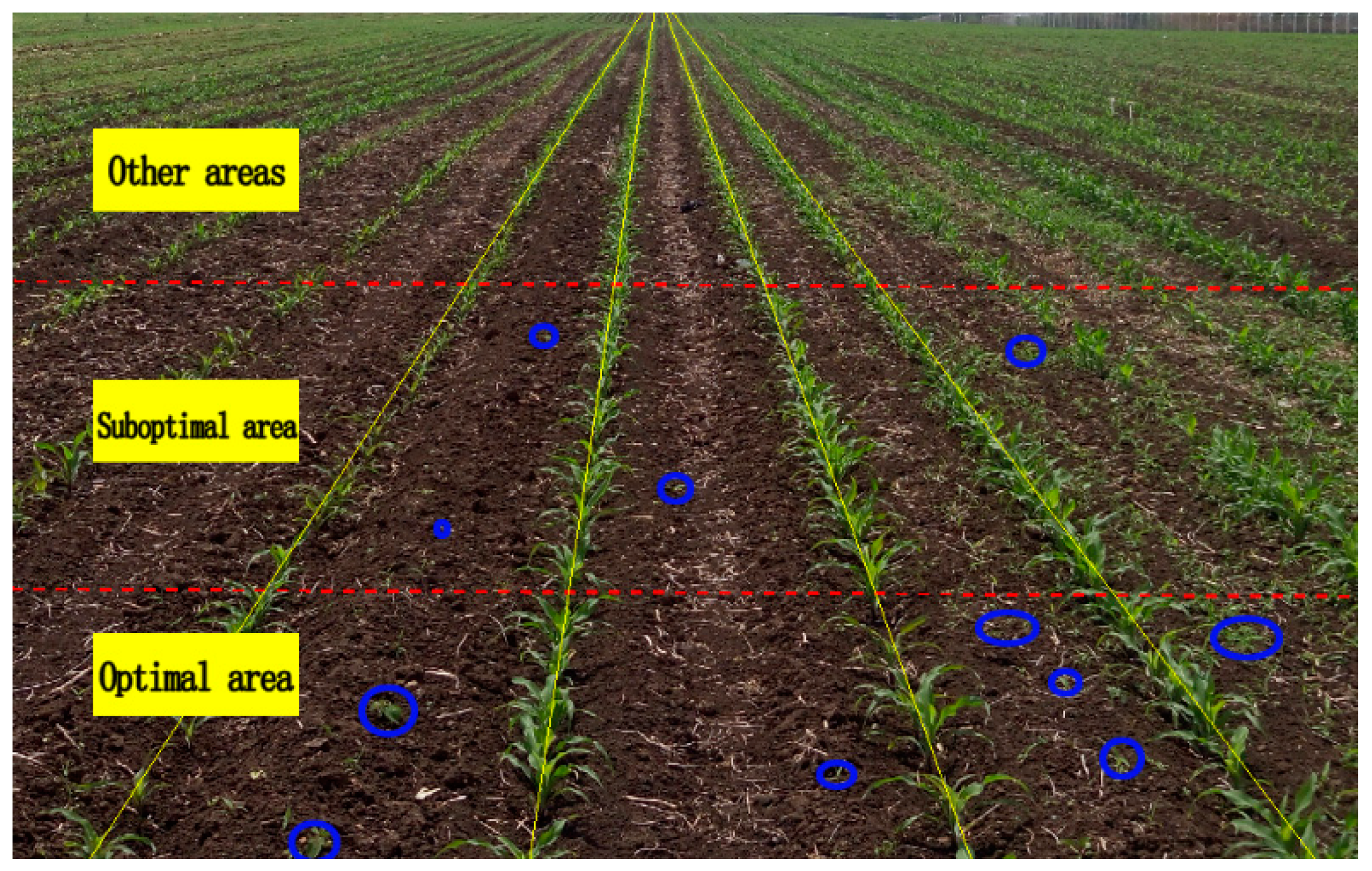 Agronomy 10 00113 g002 Agronomy 10 00113 g002