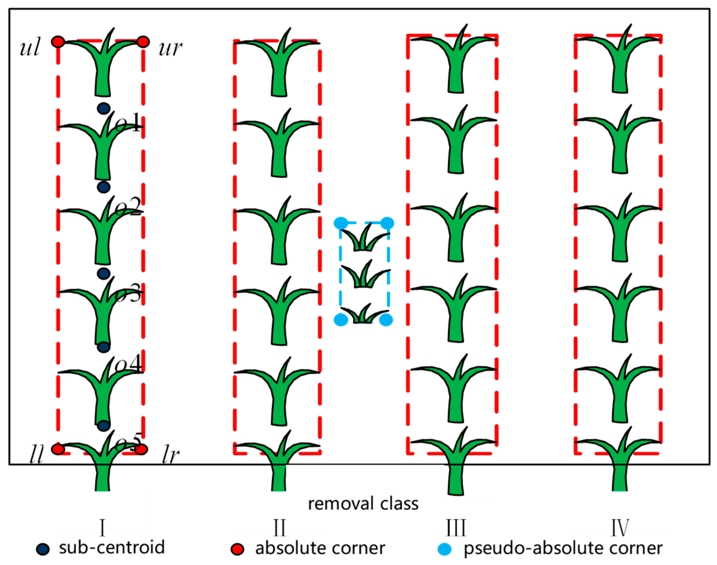 Agronomy 10 00113 g006 Agronomy 10 00113 g006