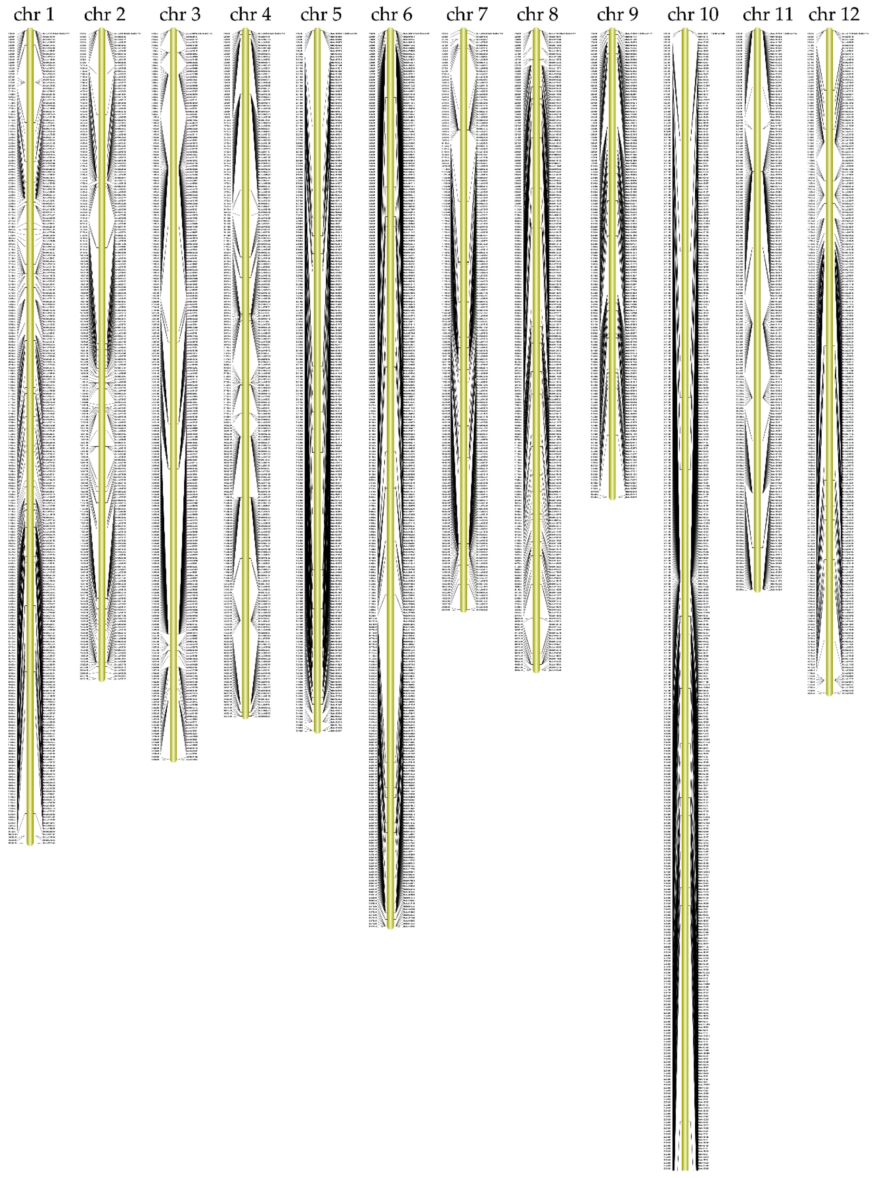 Agronomy 10 00114 g001 Agronomy 10 00114 g001