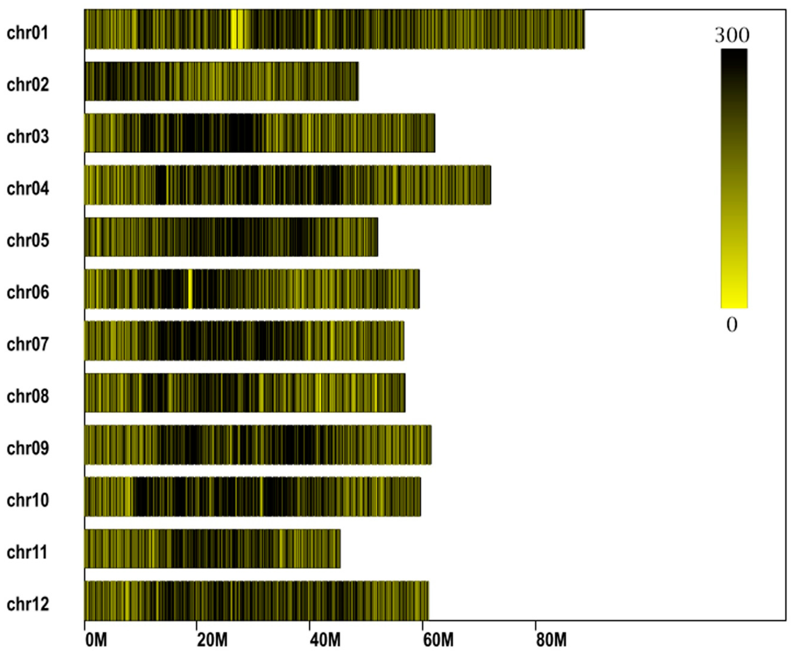 Agronomy 10 00114 g0a1 Agronomy 10 00114 g0a1