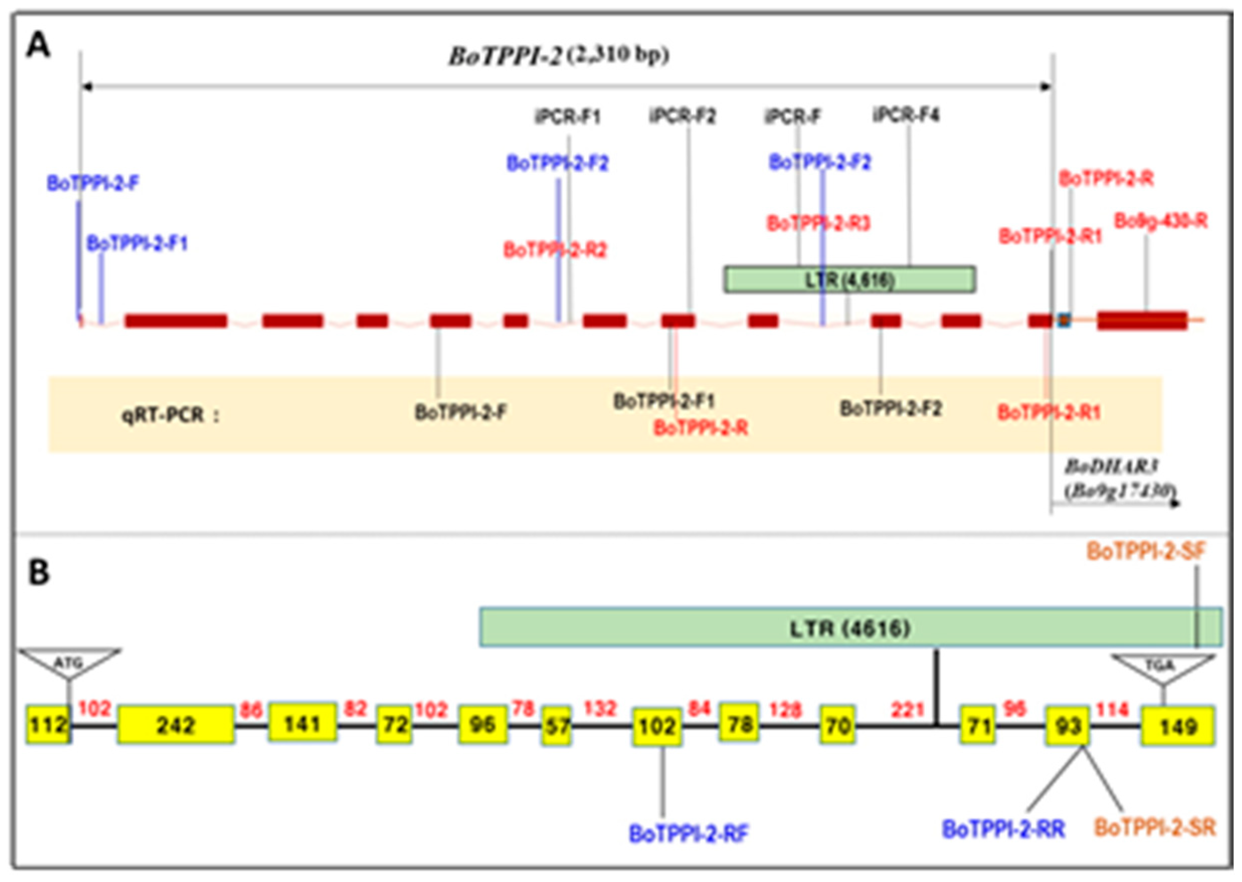 Agronomy 10 00116 g004