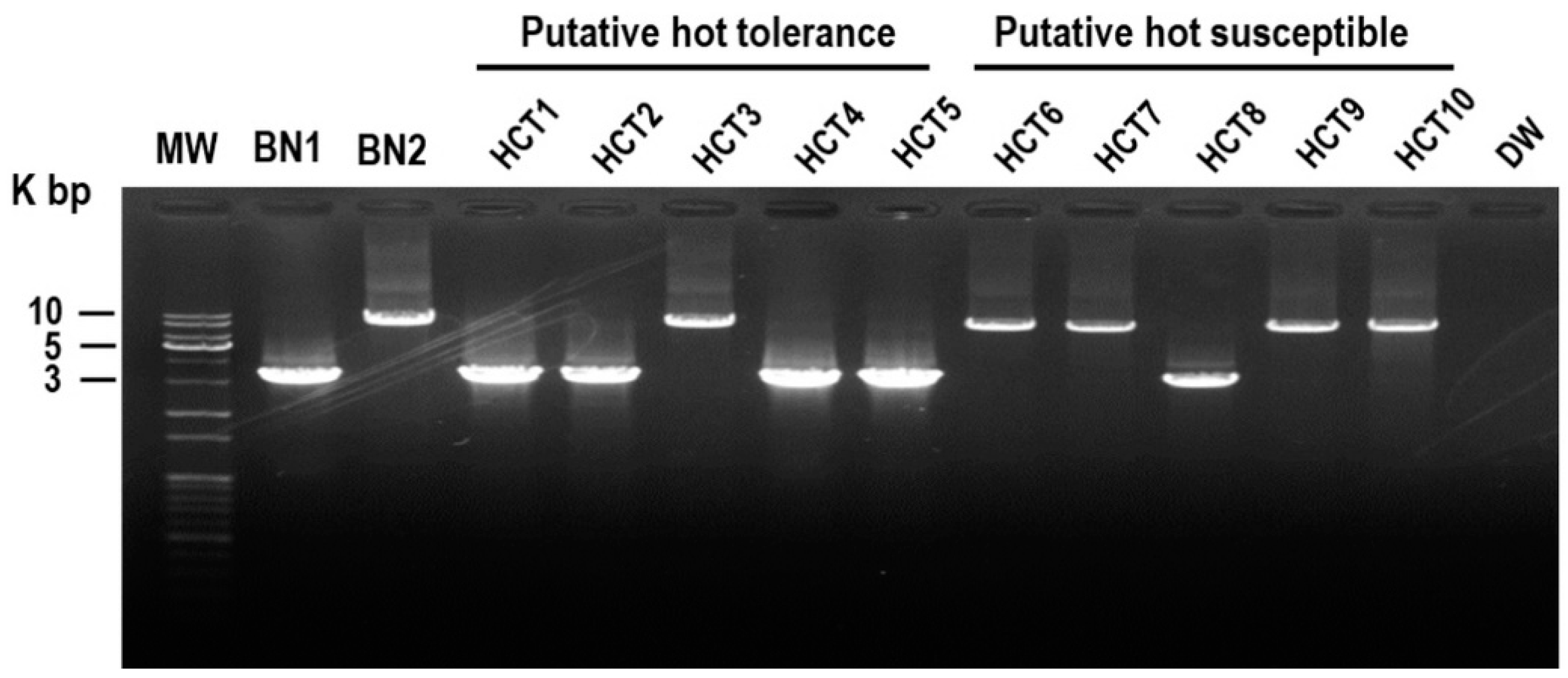 Agronomy 10 00116 g005