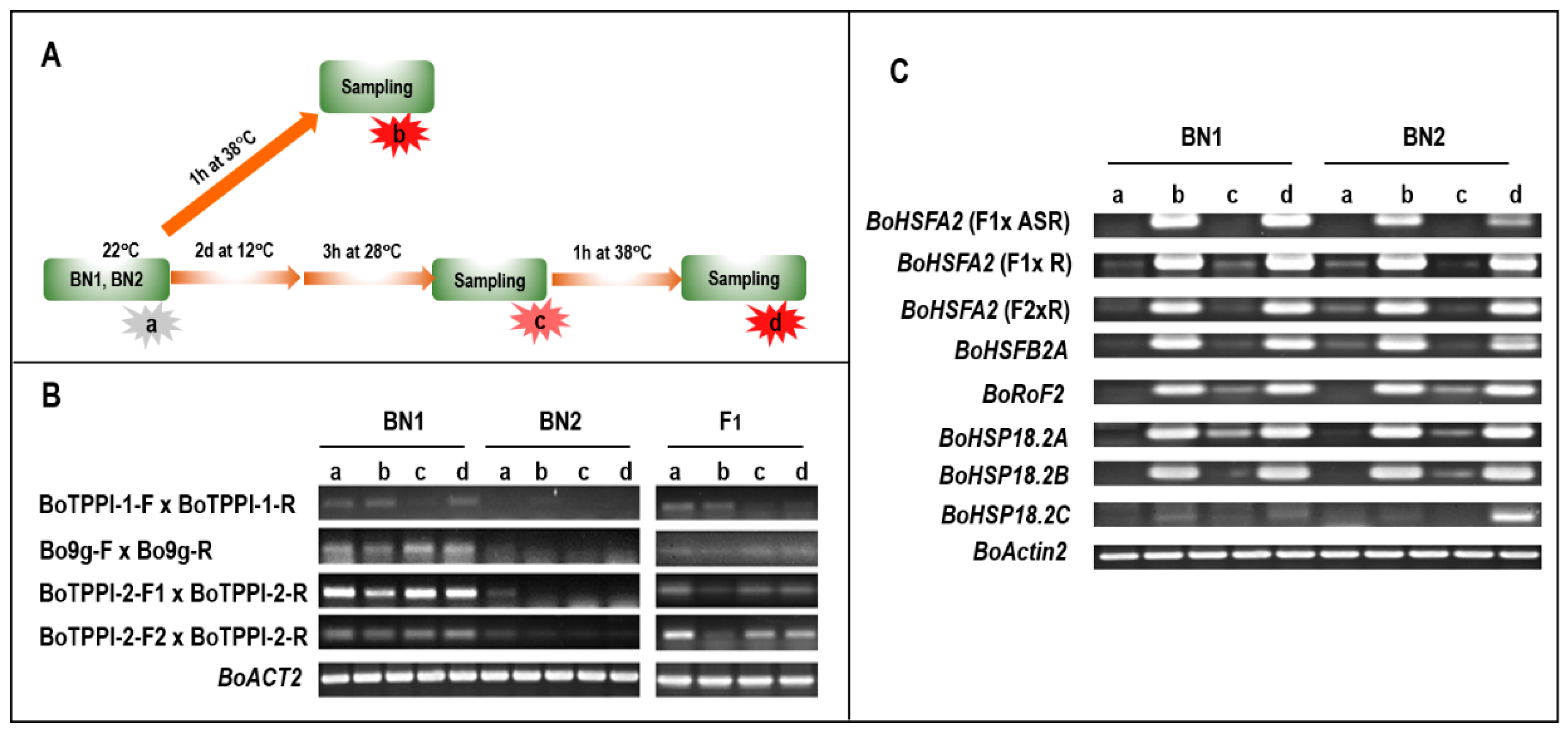 Agronomy 10 00116 g006