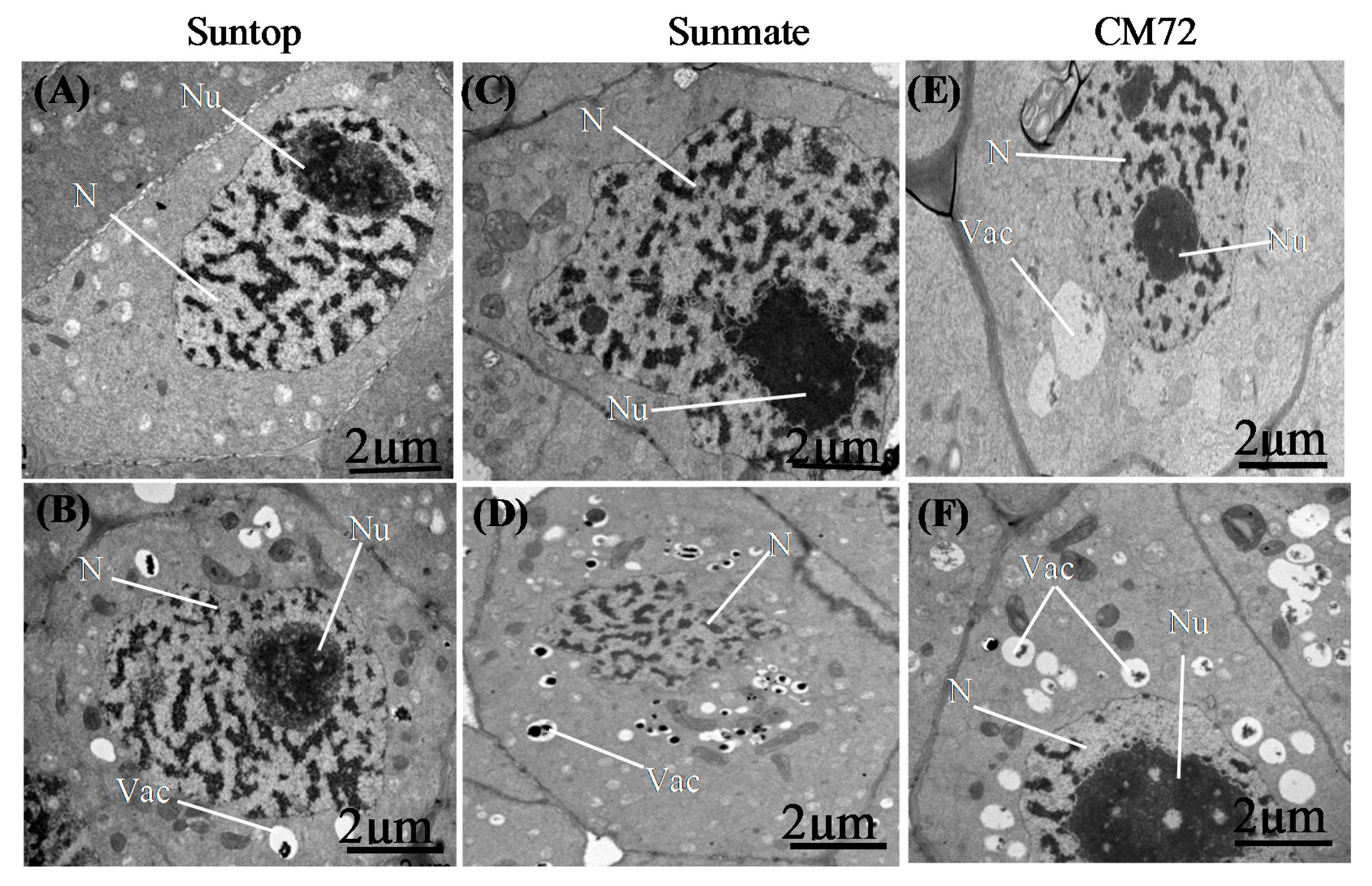 Agronomy 10 00127 g007