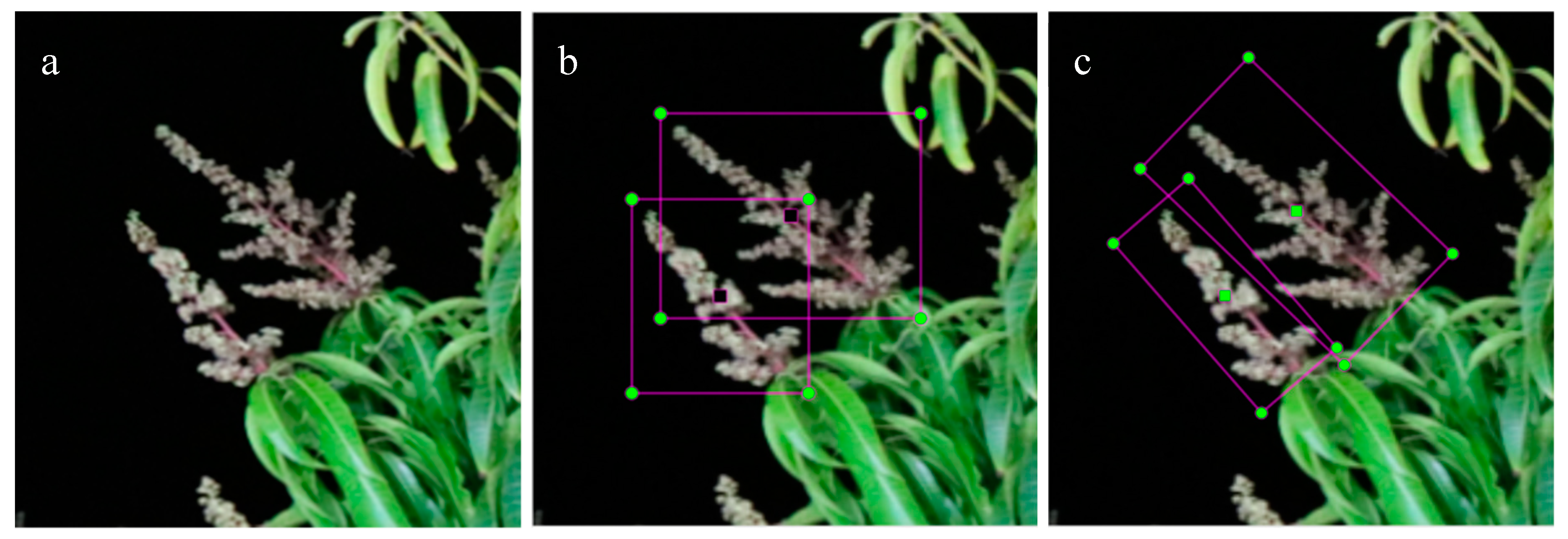 Agronomy 10 00143 g001 Agronomy 10 00143 g001