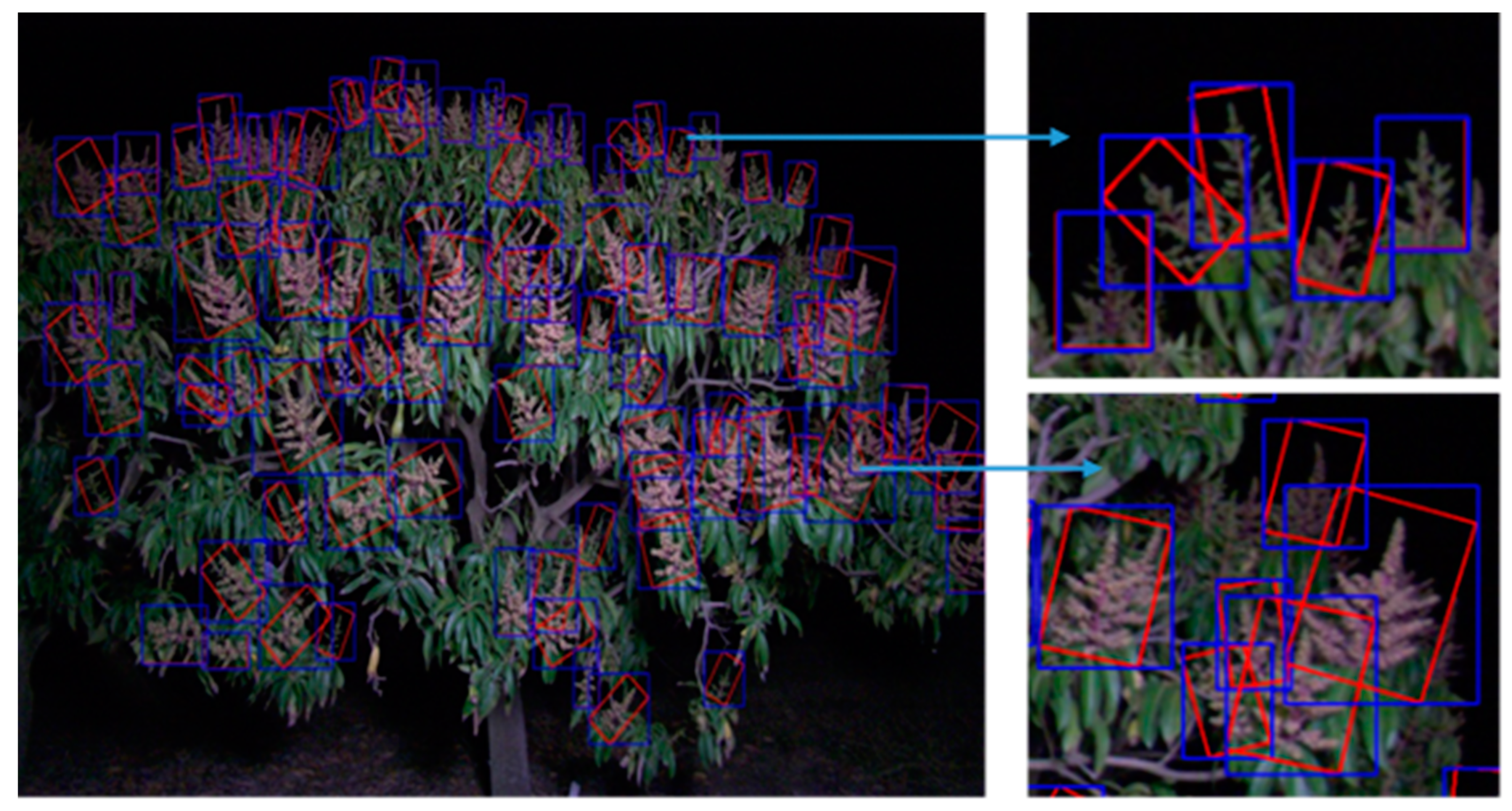 Agronomy 10 00143 g003 Agronomy 10 00143 g003