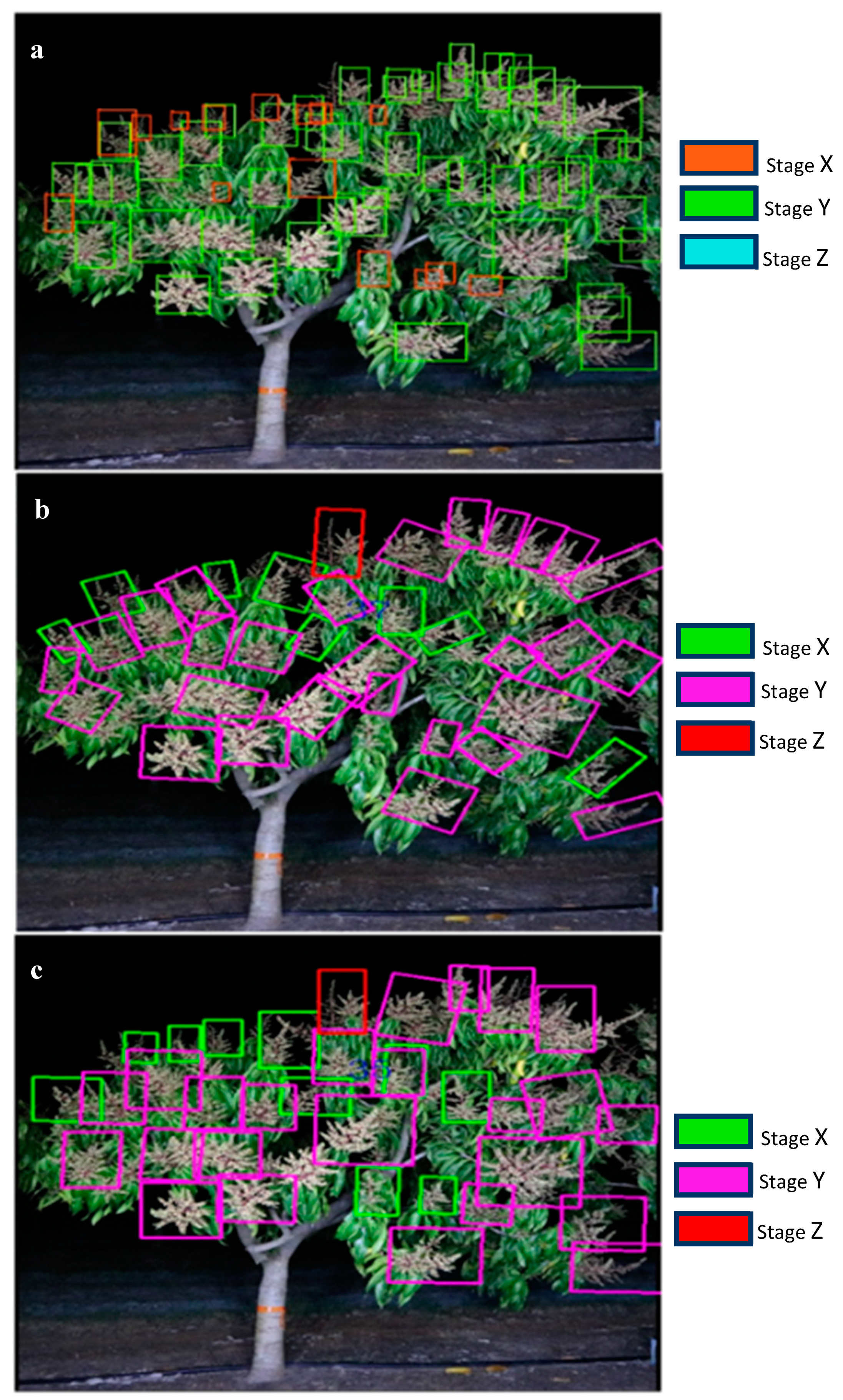 Agronomy 10 00143 g006 Agronomy 10 00143 g006
