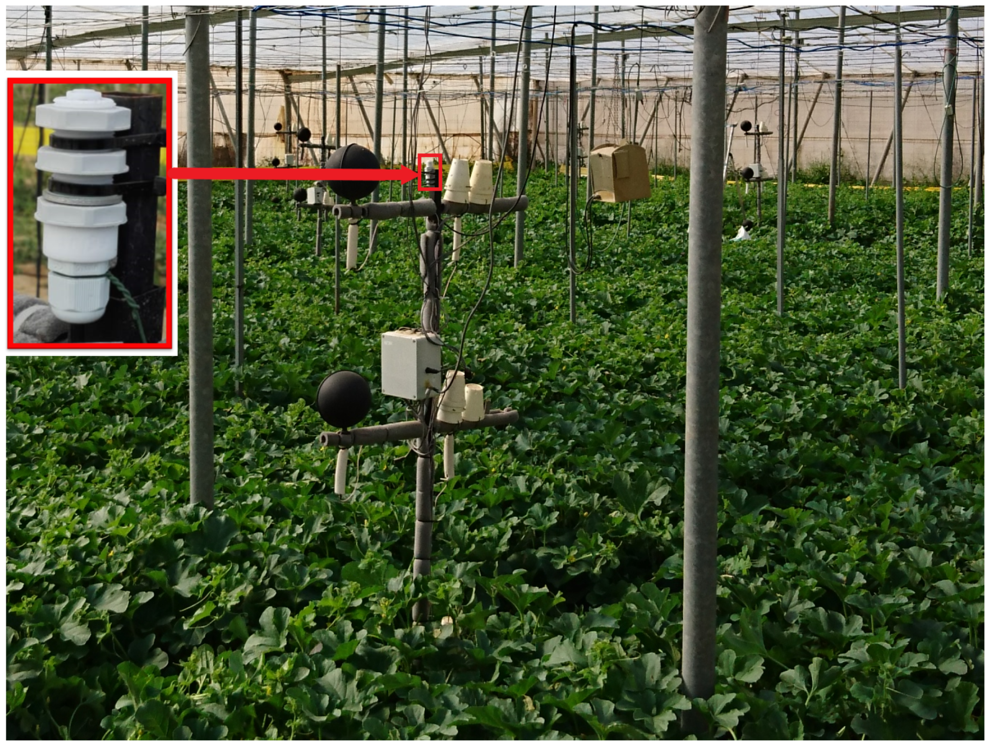 Agronomy 10 00145 g002 Agronomy 10 00145 g002