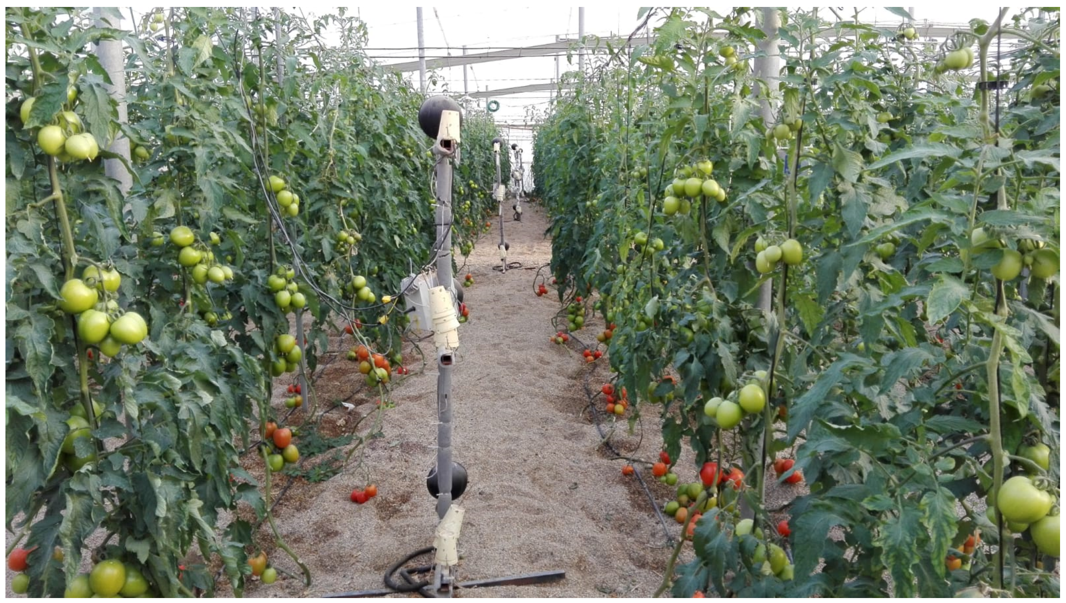 Agronomy 10 00145 g008 Agronomy 10 00145 g008