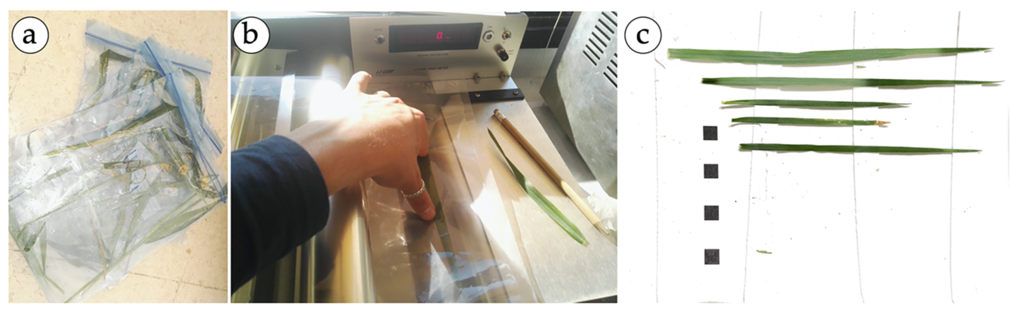 Agronomy 10 00175 g002 Agronomy 10 00175 g002