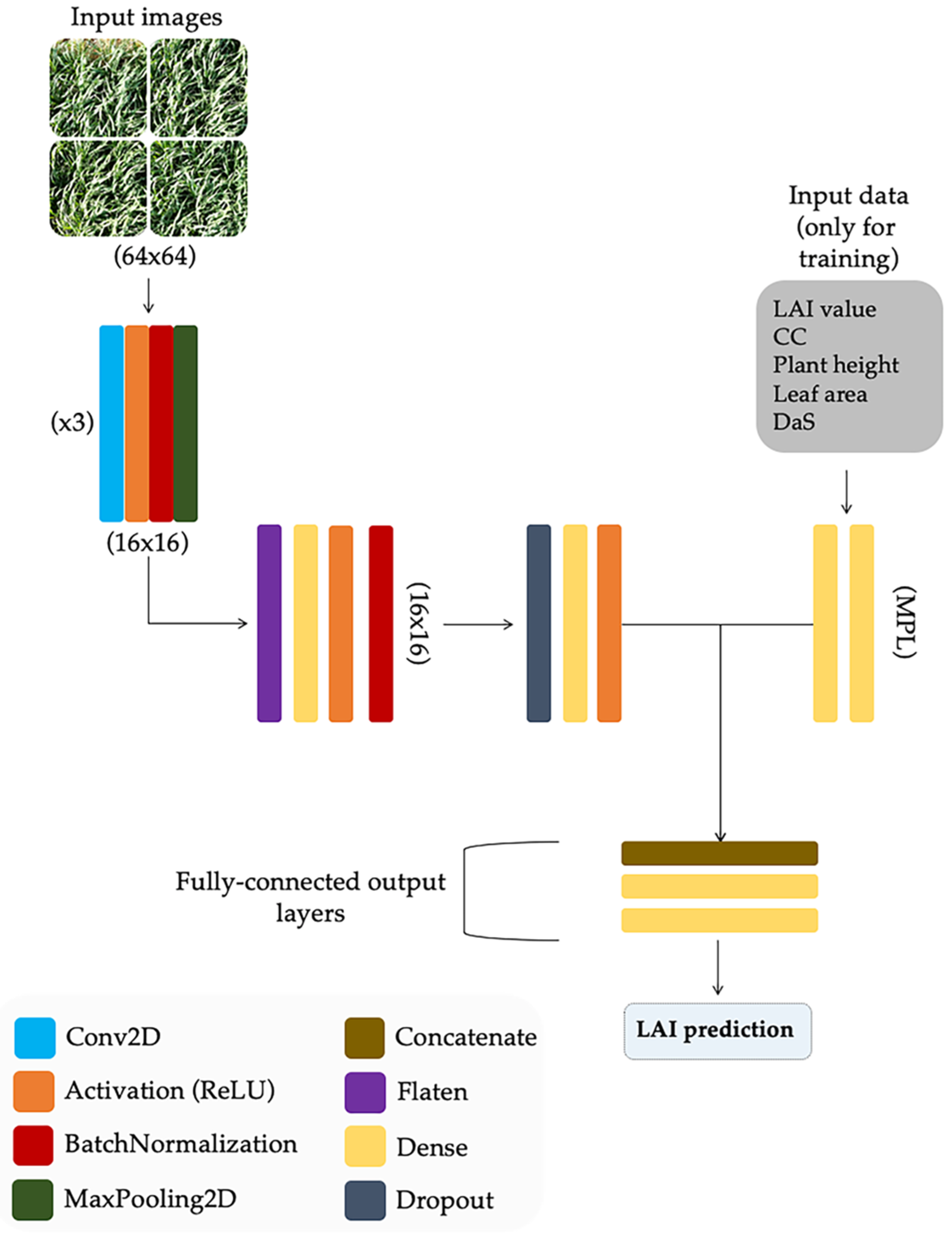 Agronomy 10 00175 g006 Agronomy 10 00175 g006