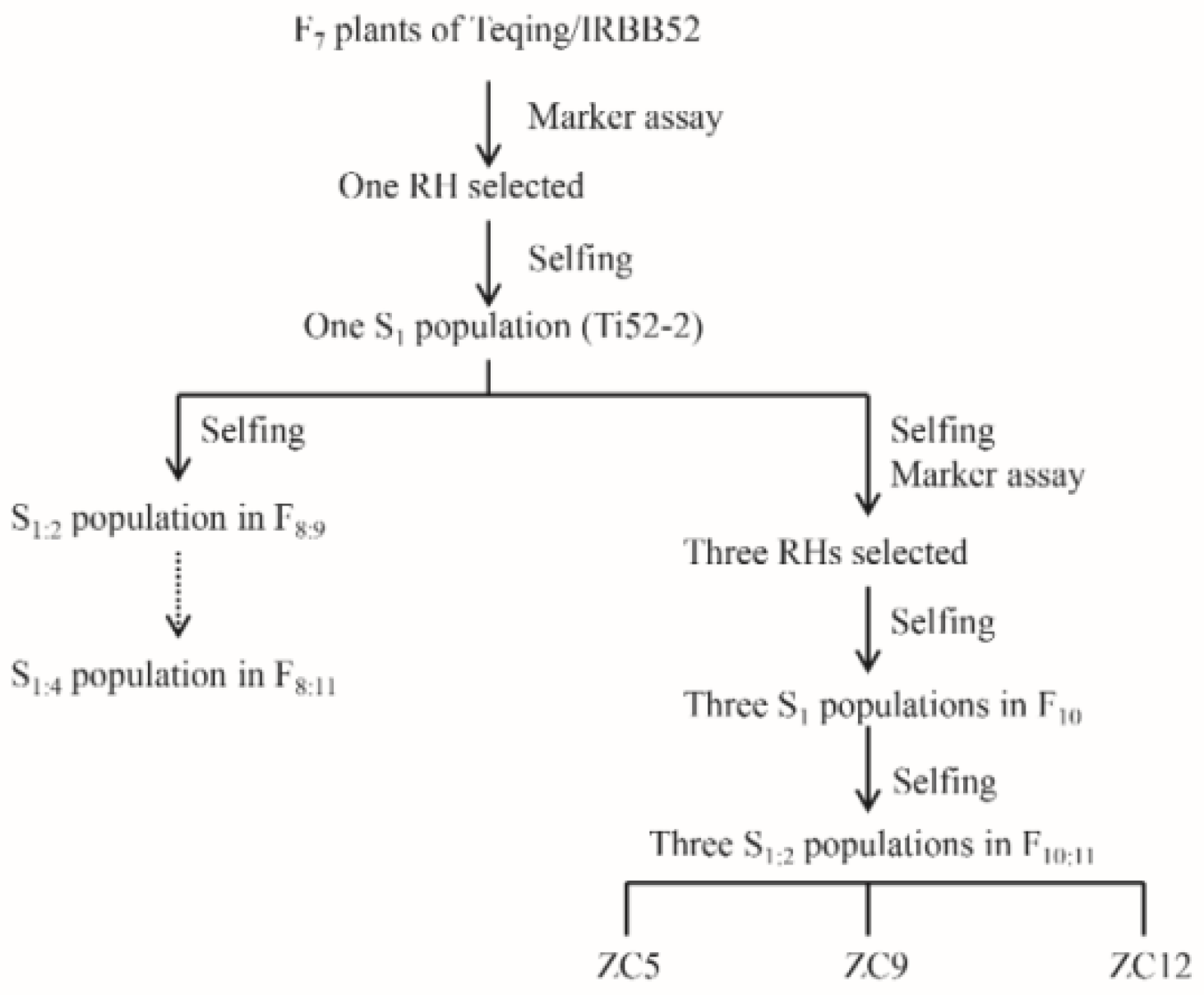 Agronomy 10 00180 g001 Agronomy 10 00180 g001