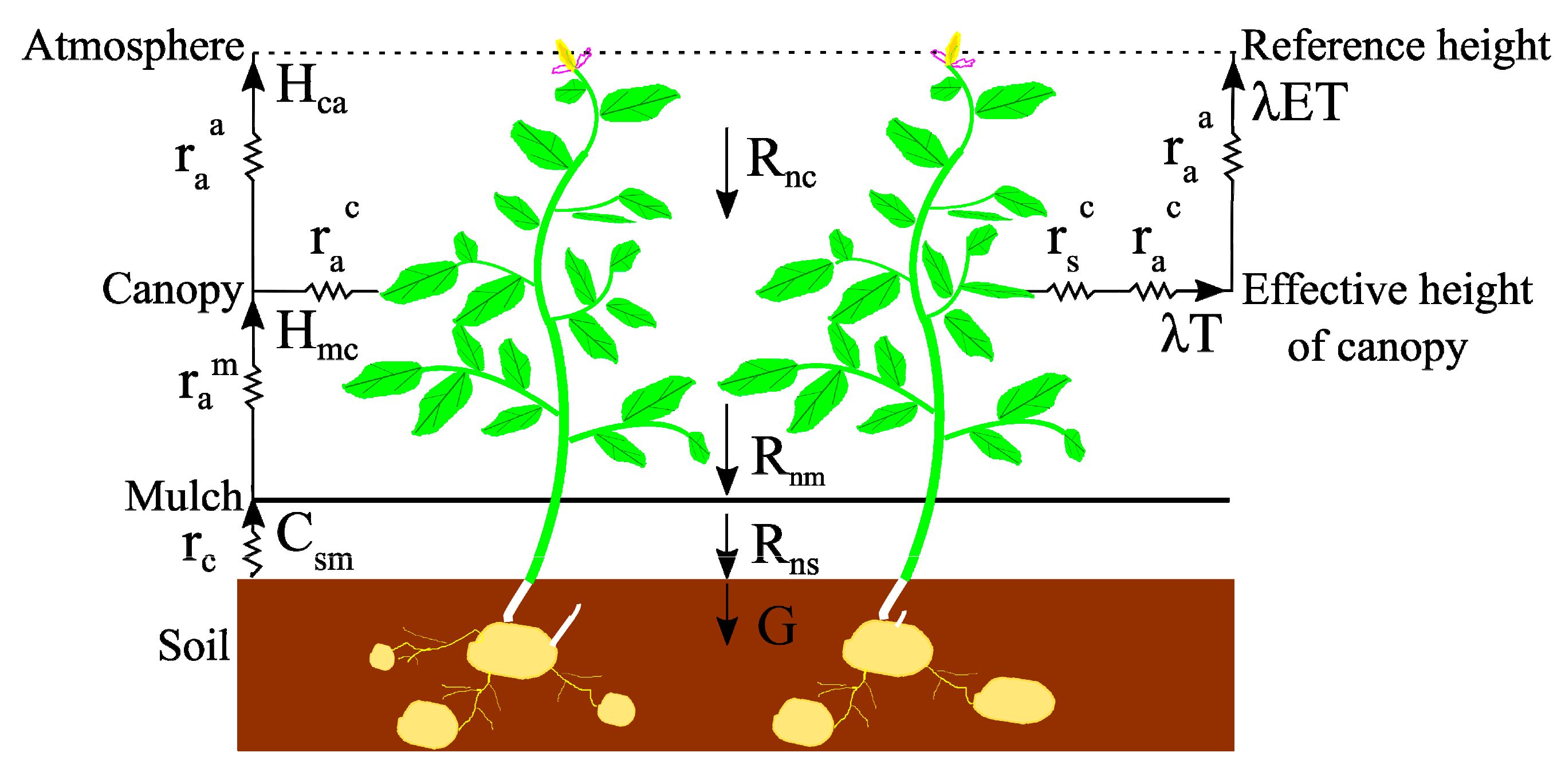 Agronomy 10 00190 g002