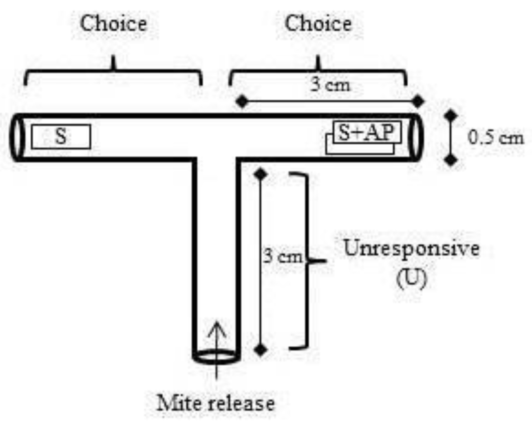 Agronomy 10 00193 g001