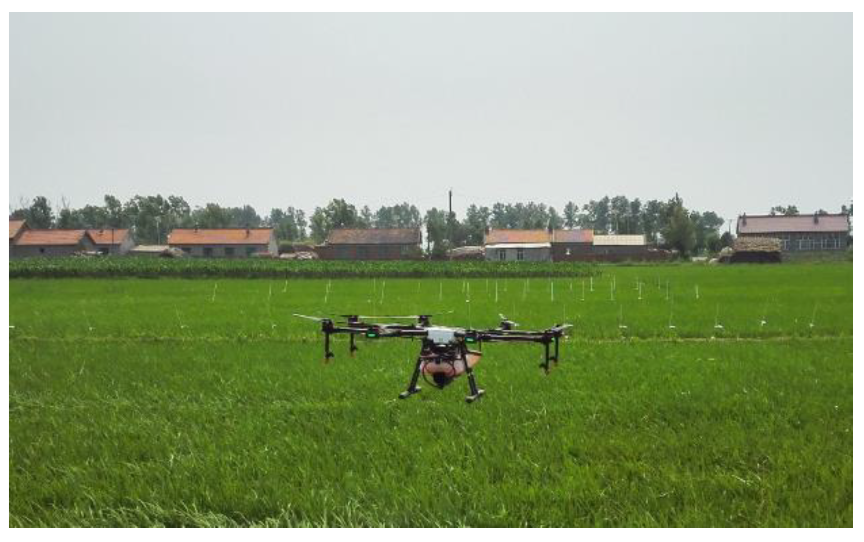 Agronomy 10 00195 g001 Agronomy 10 00195 g001