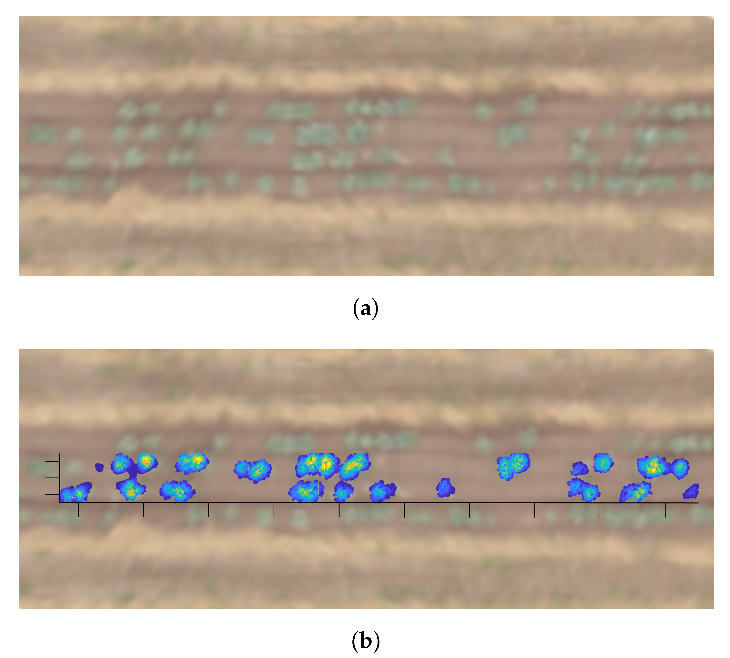 Agronomy 10 00197 g005