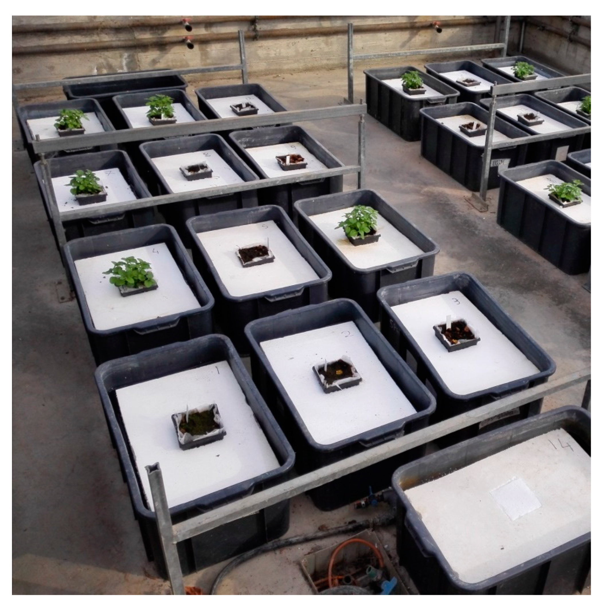 Agronomy 10 00199 g001